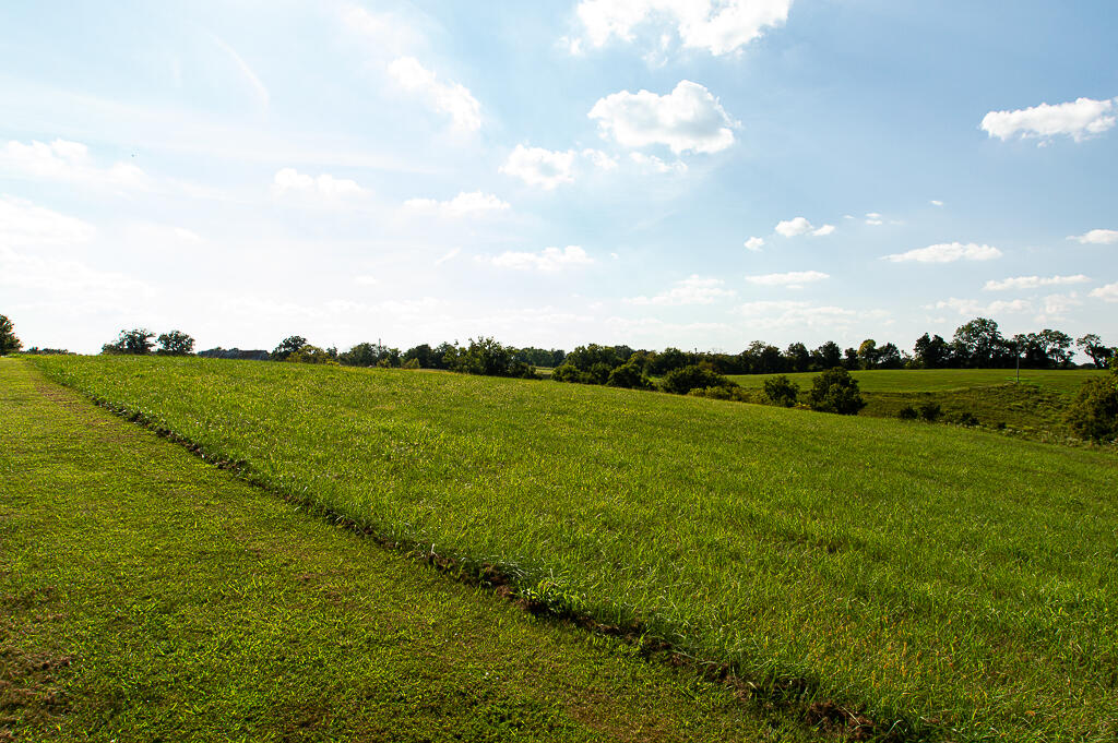 13200 Bald Knob Road Tracts 2 & 3 Property Photo 33