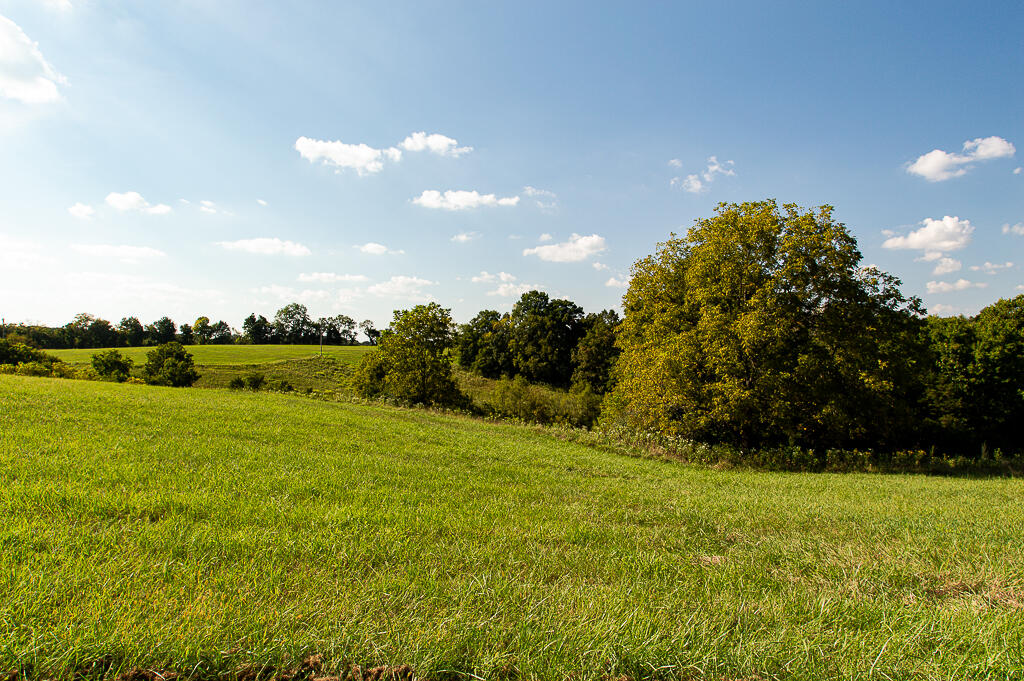 13200 Bald Knob Road Tracts 2 & 3 Property Photo 34