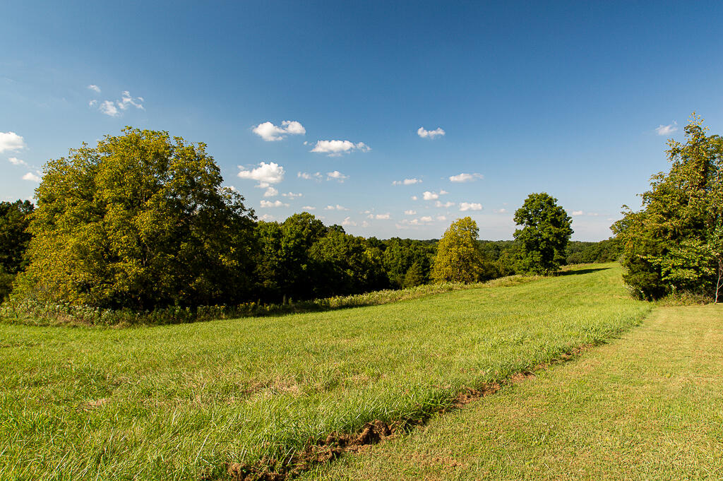 13200 Bald Knob Road Tracts 2 & 3 Property Photo 35