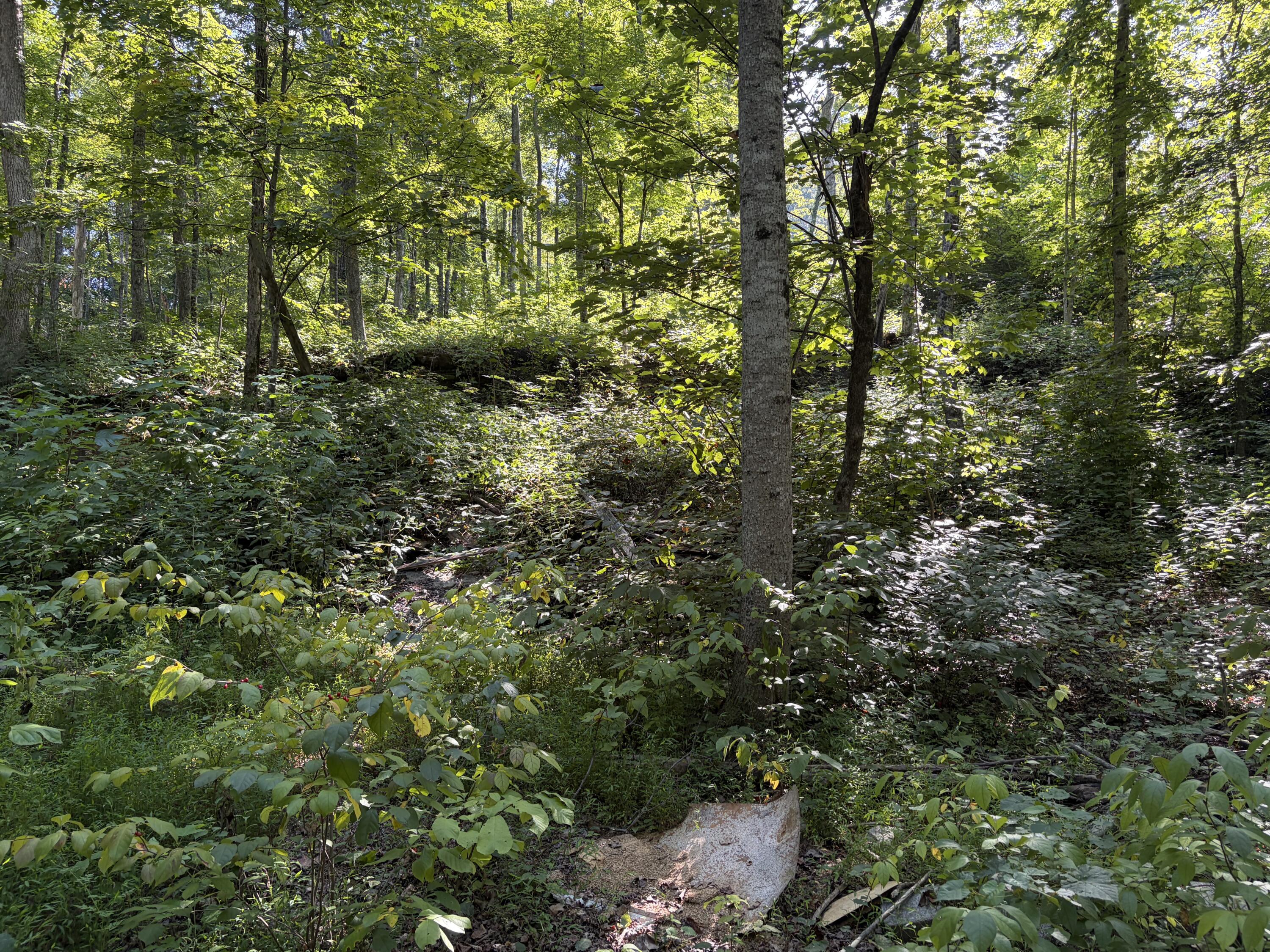 Lots 16-19 Shiloh Road Property Photo 11