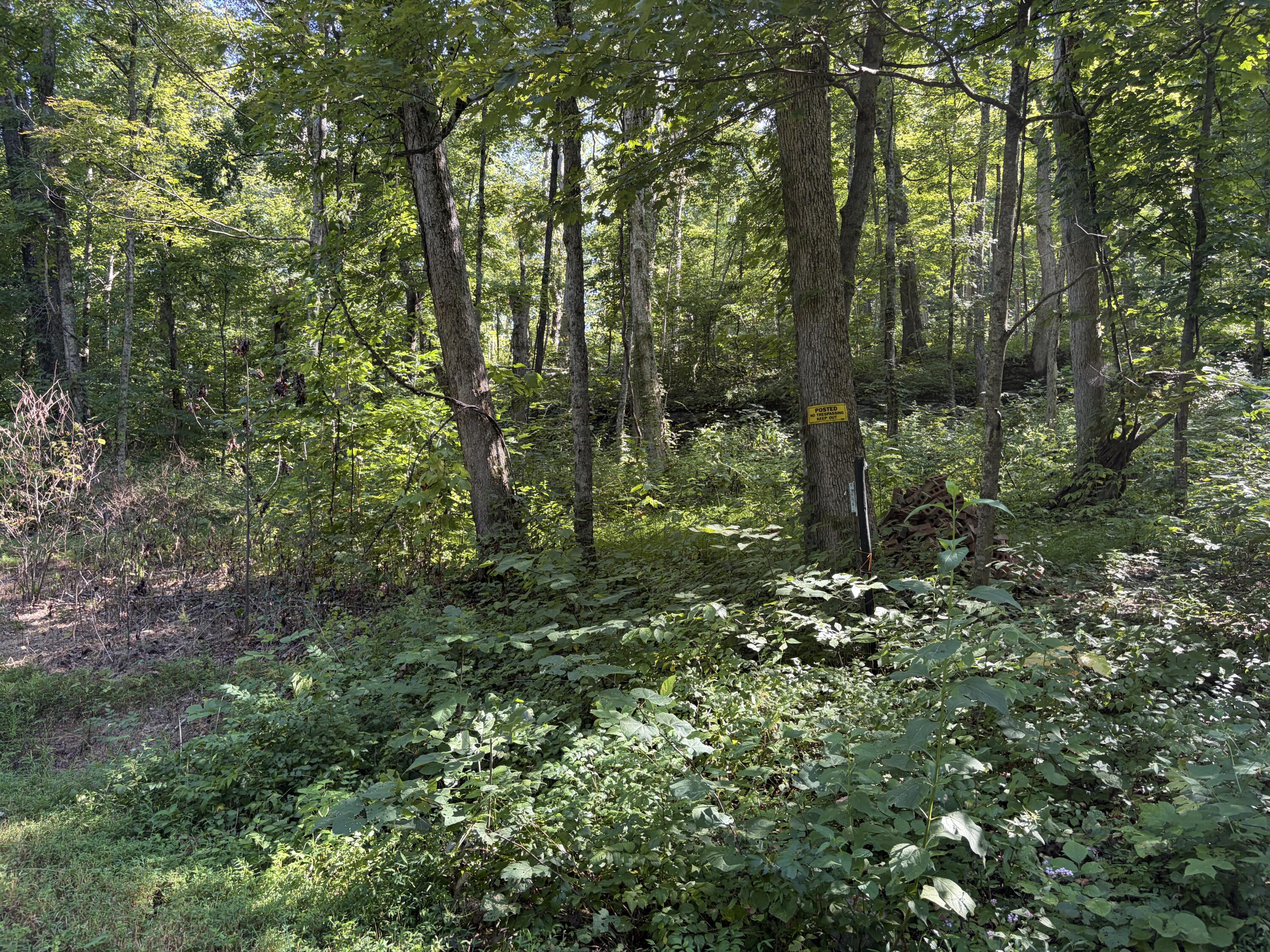 Lots 16-19 Shiloh Road Property Photo 14