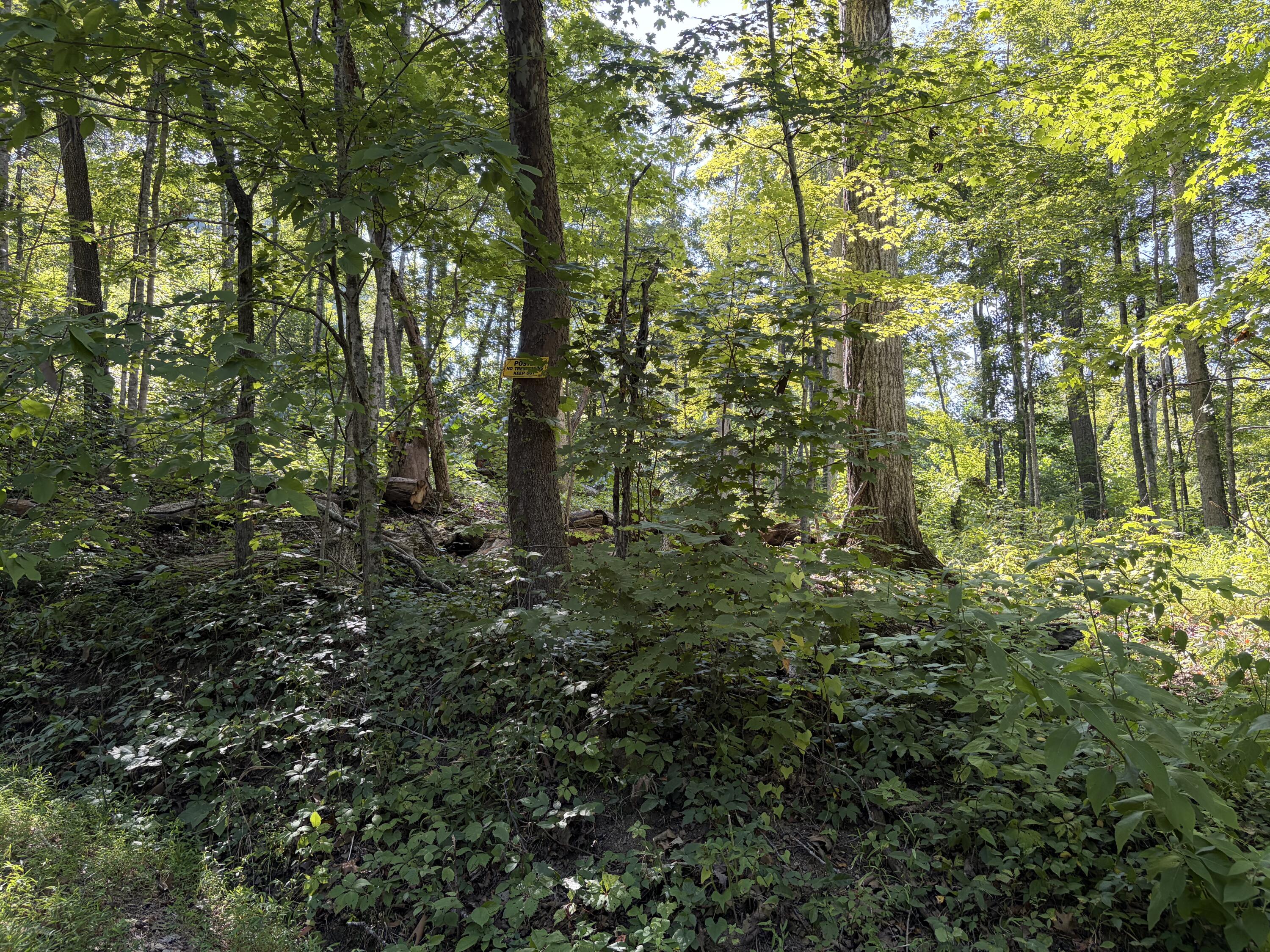 Lots 16-19 Shiloh Road Property Photo 15