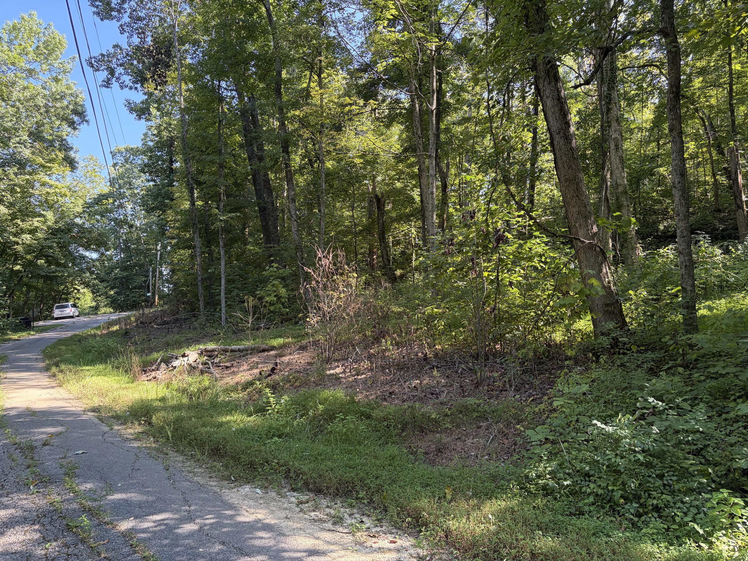 Lots 16-19 Shiloh Road Property Photo 16