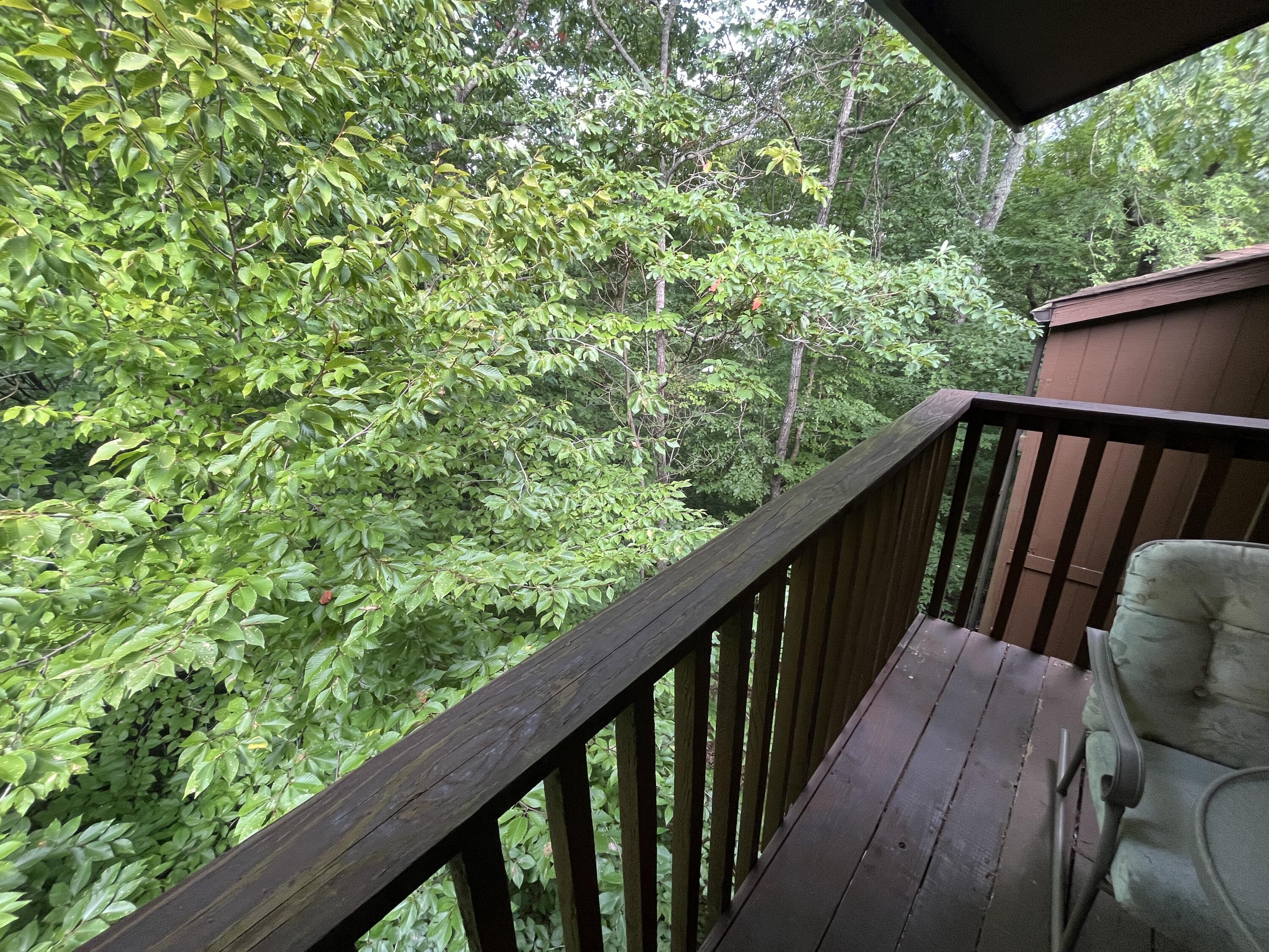 145 State Park Road B3 Property Photo 62