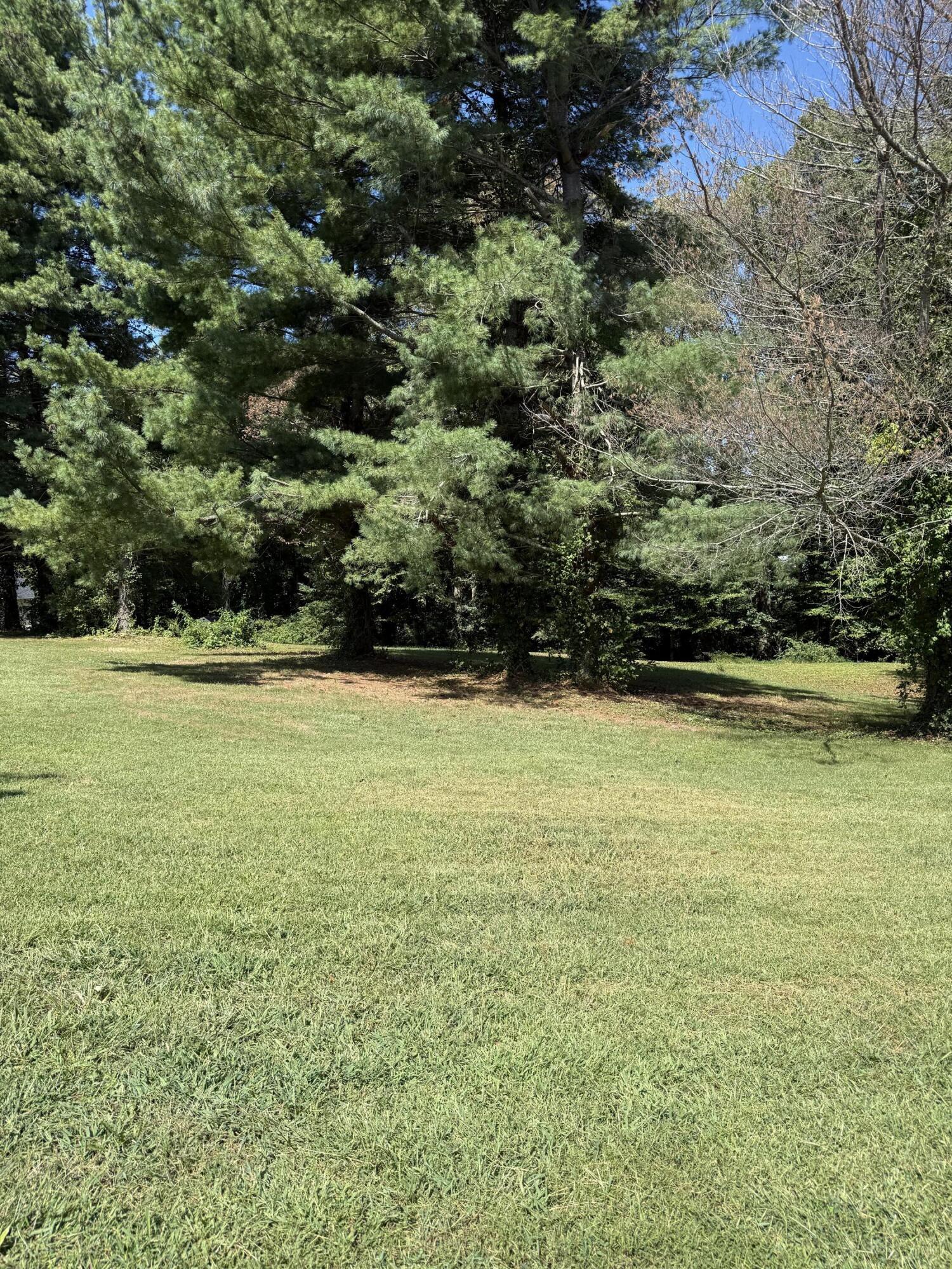 1109 Snow Road Property Photo 10