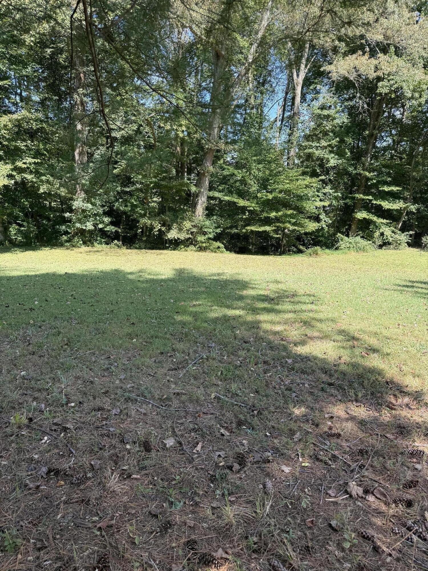 1109 Snow Road Property Photo 11