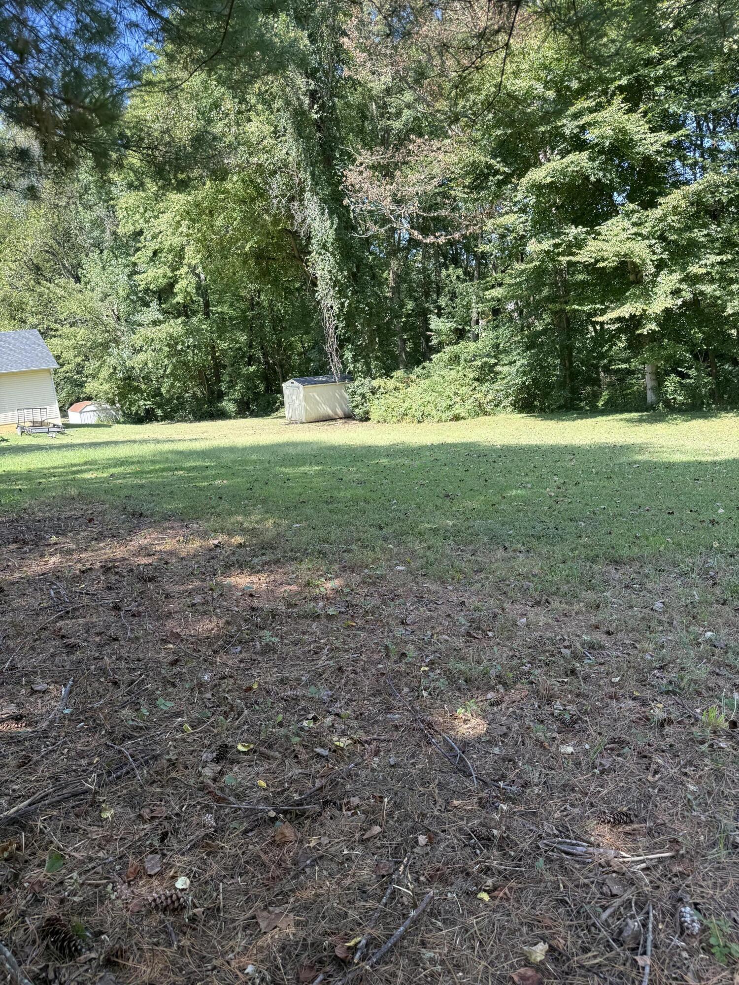 1109 Snow Road Property Photo 12