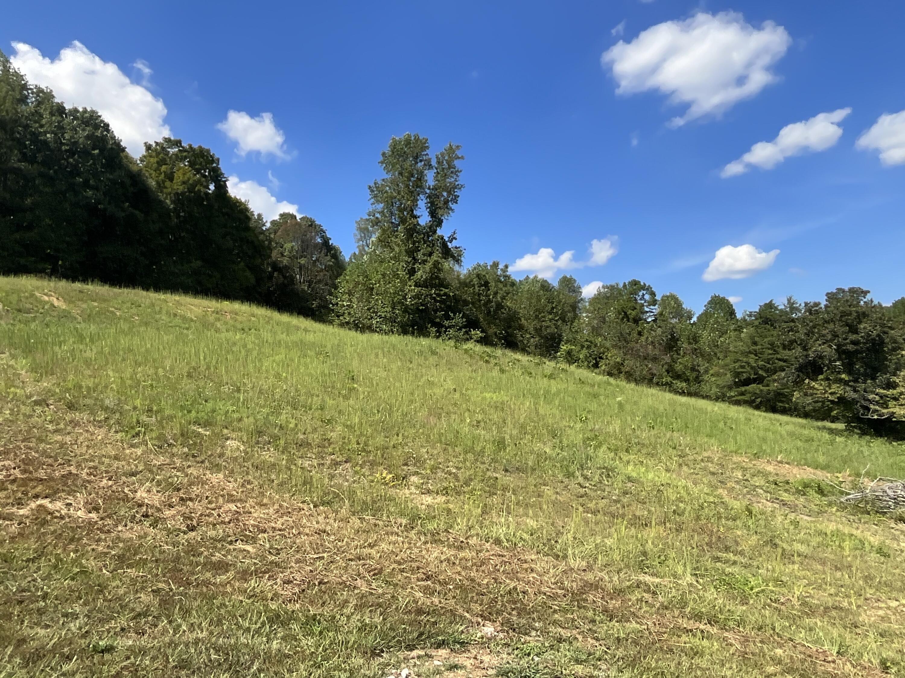 134 Sears Cemetery Road Property Photo 49