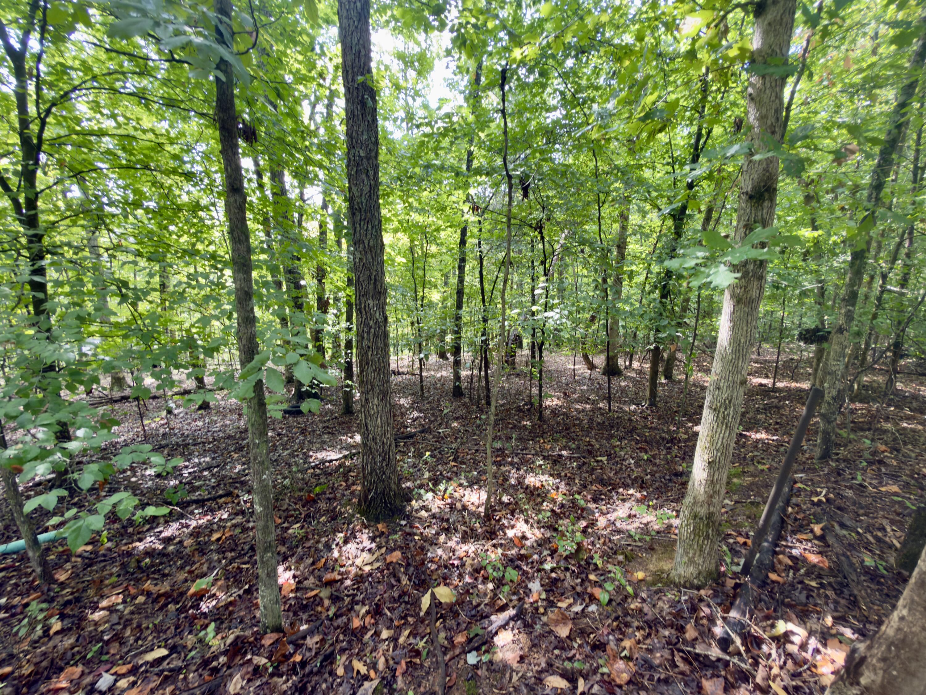 98 Dogwood Trail Property Photo 1