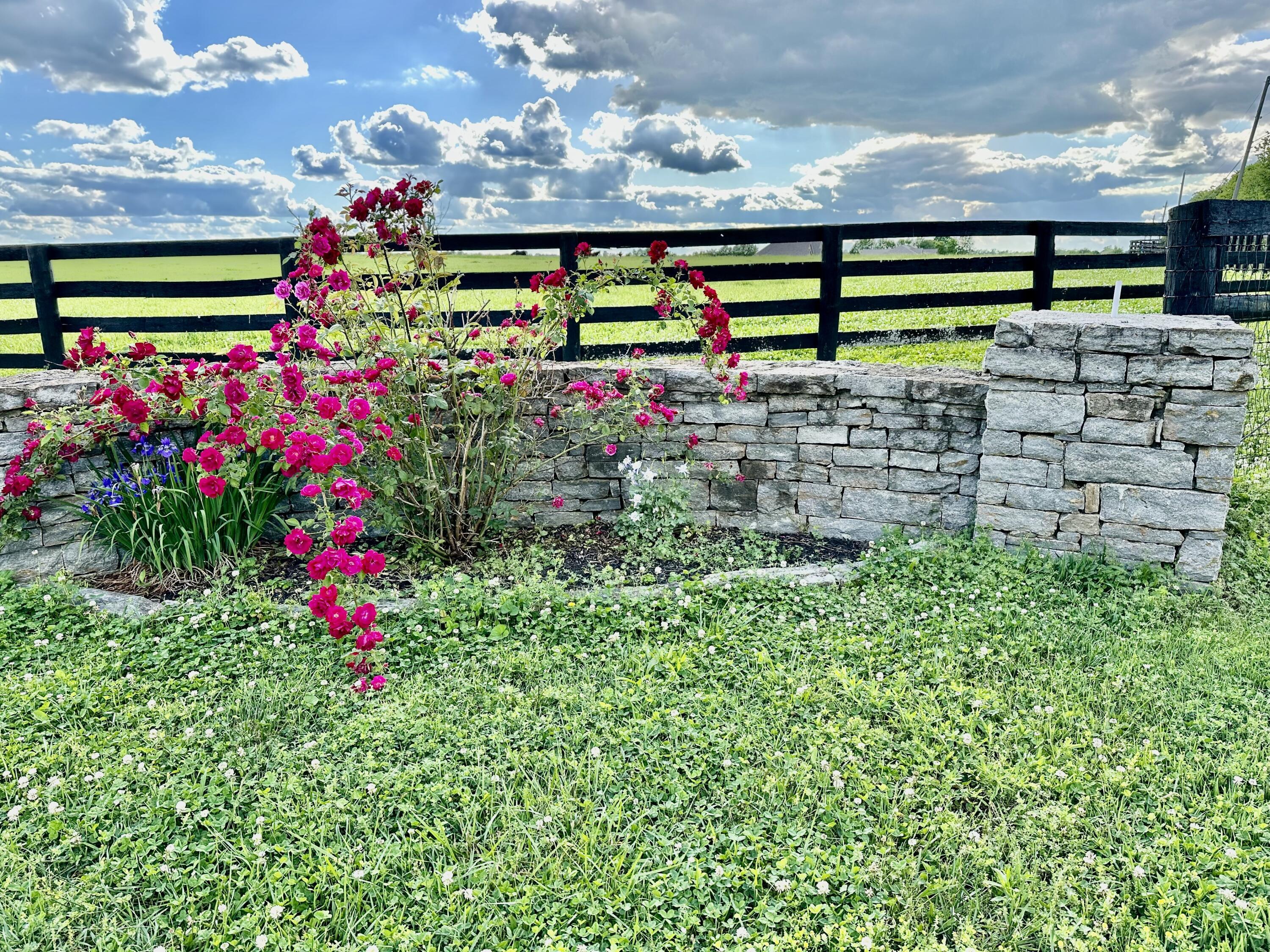 2120 Ironworks Road Property Photo 5