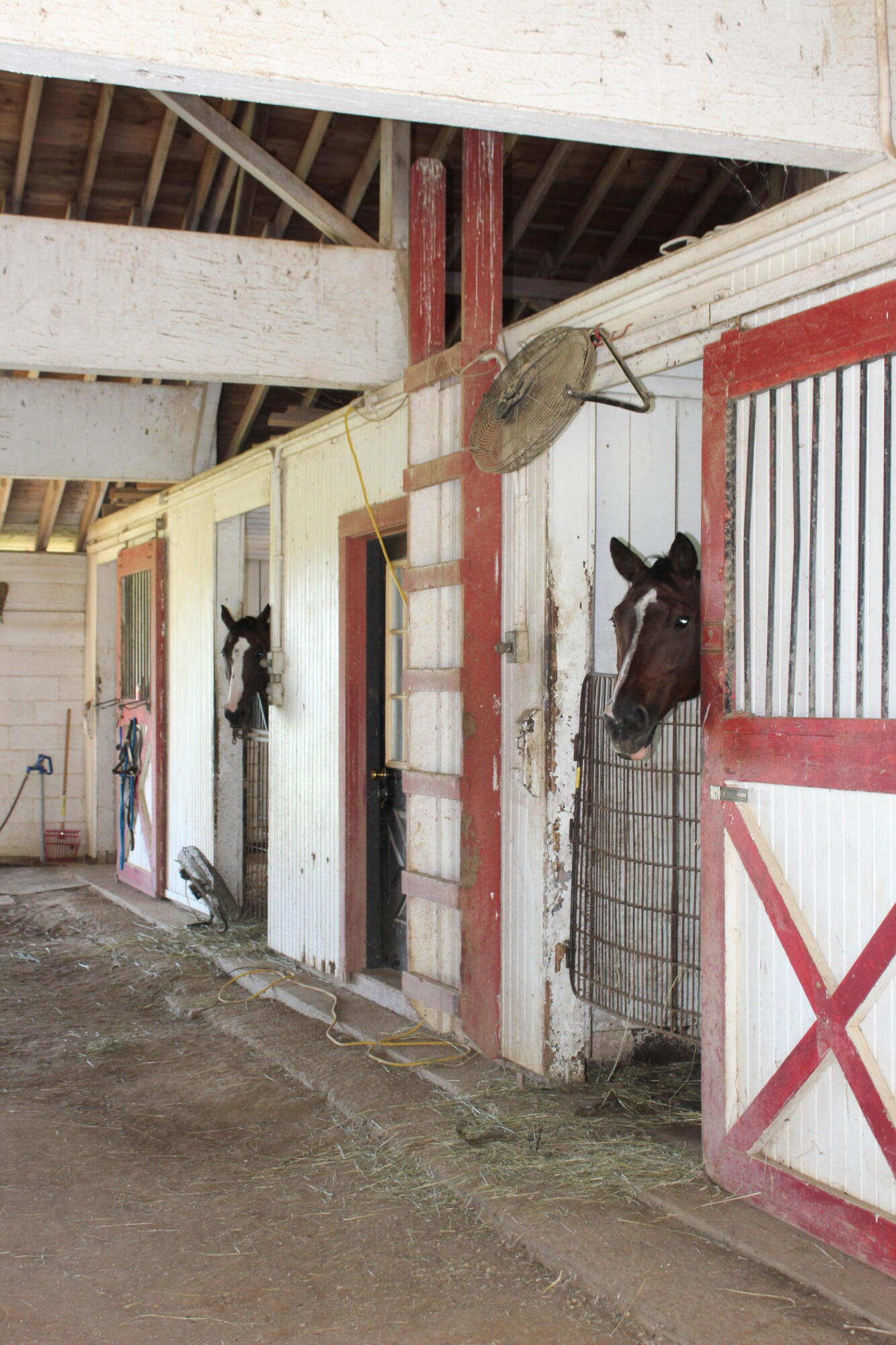 2120 Ironworks Road Property Photo 12