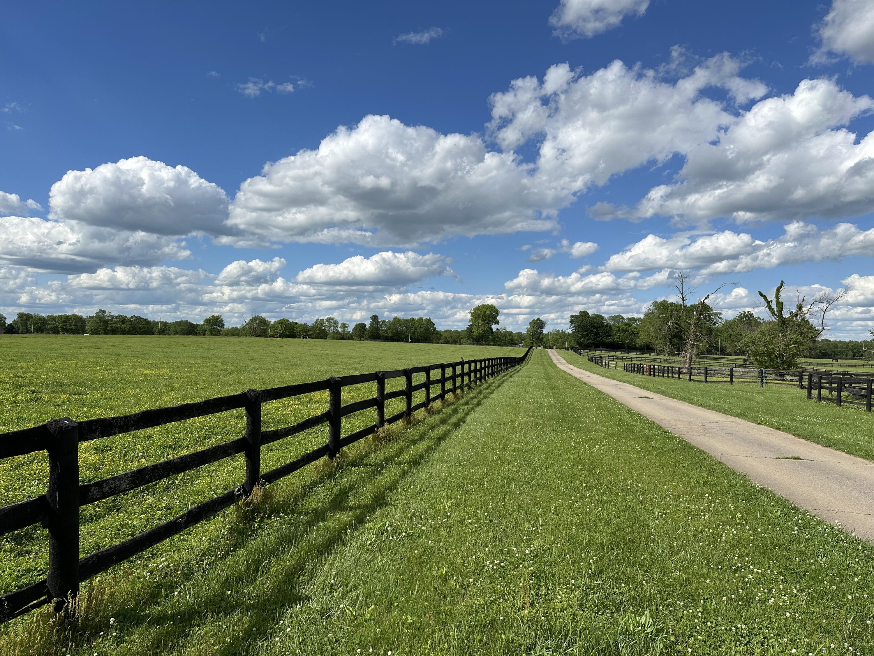 2120 Ironworks Road Property Photo 50