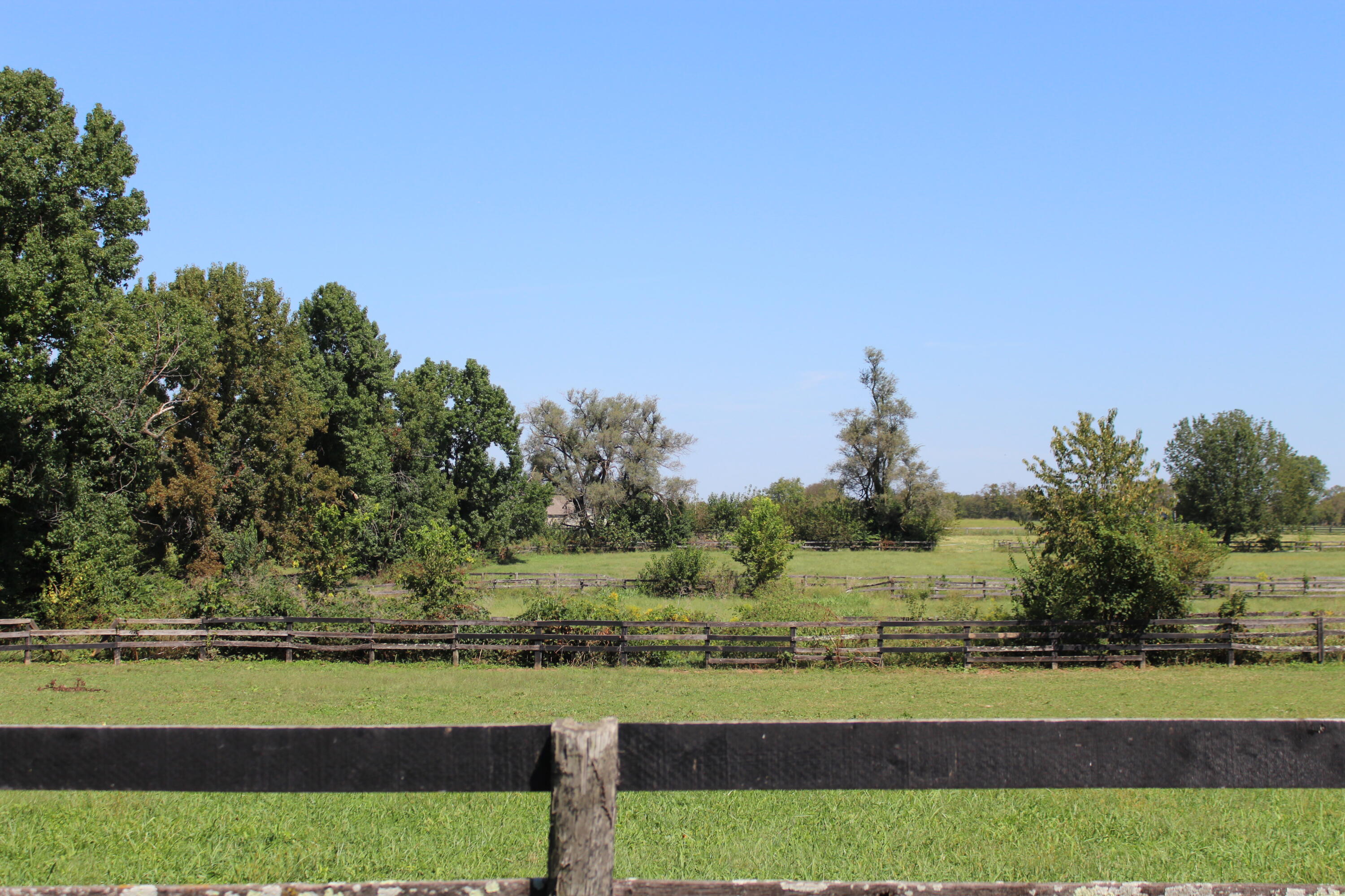 2120 Ironworks Road Property Photo 62