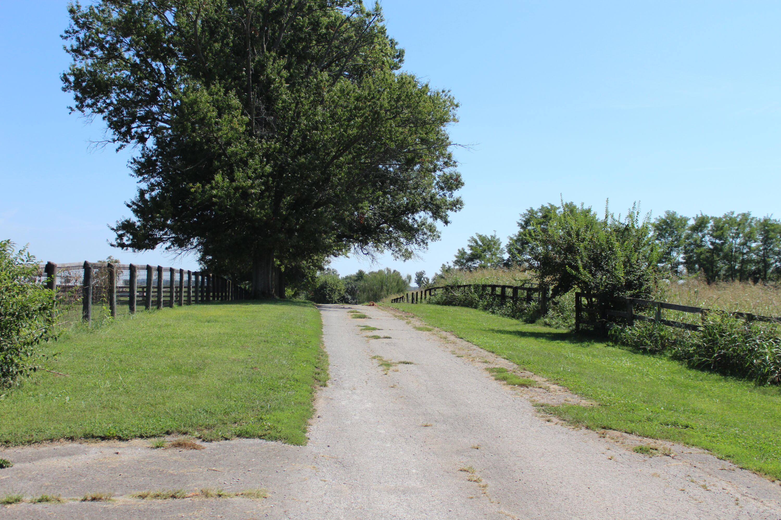 2120 Ironworks Road Property Photo 63