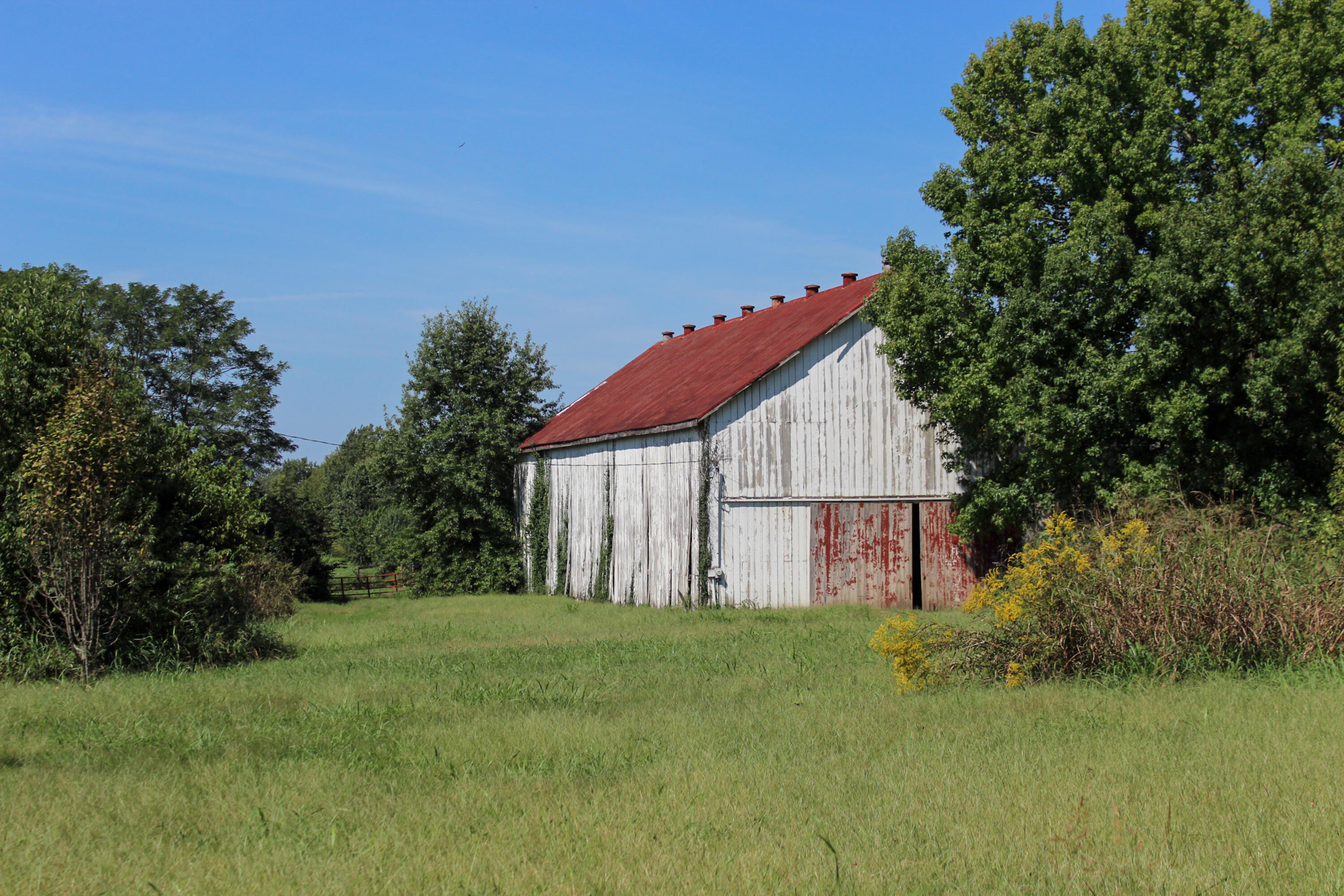 2120 Ironworks Road Property Photo 64