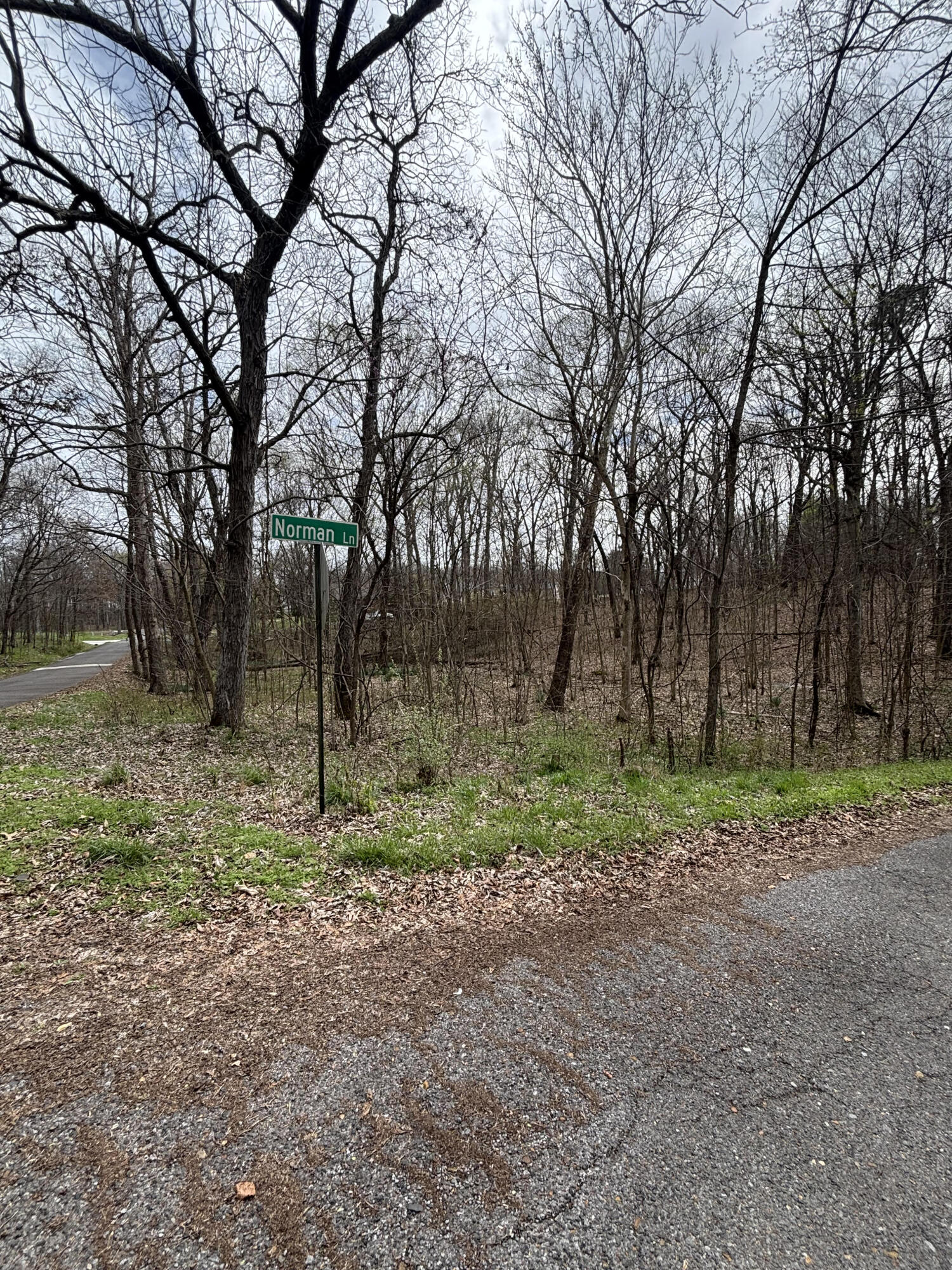 Lot 23 Norman Lane Property Photo 1