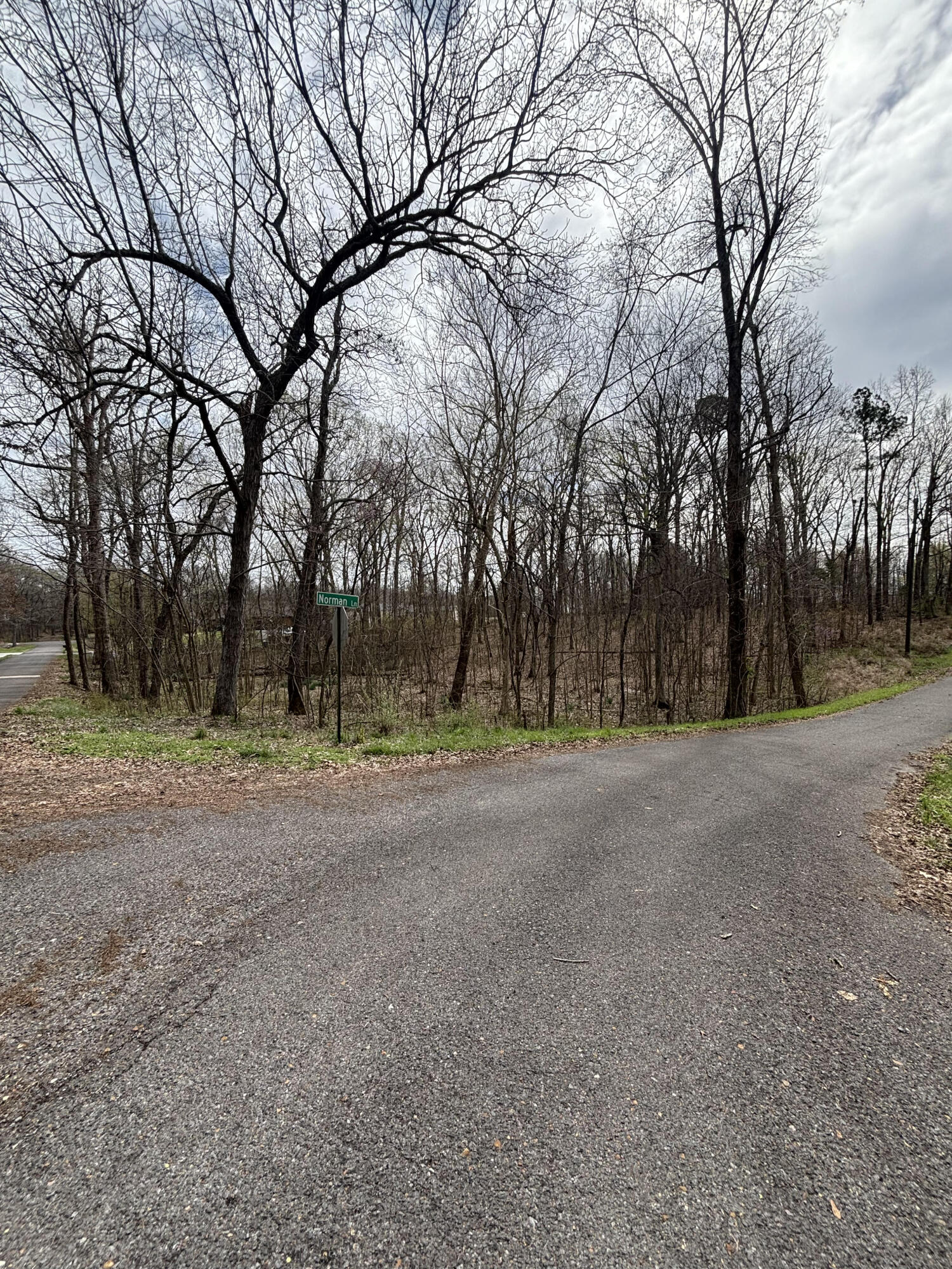 Lot 23 Norman Lane Property Photo 5