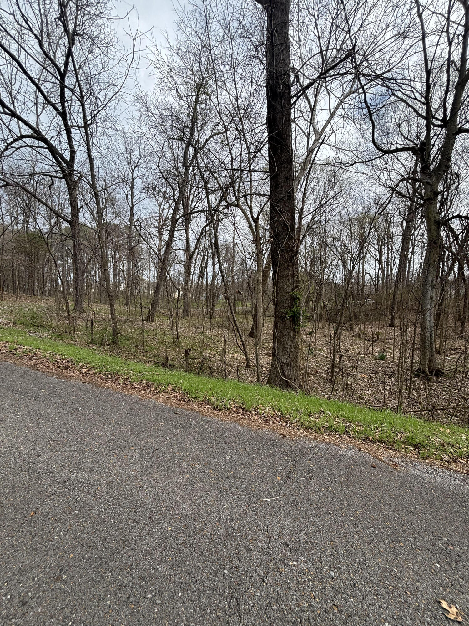 Lot 23 Norman Lane Property Photo 6
