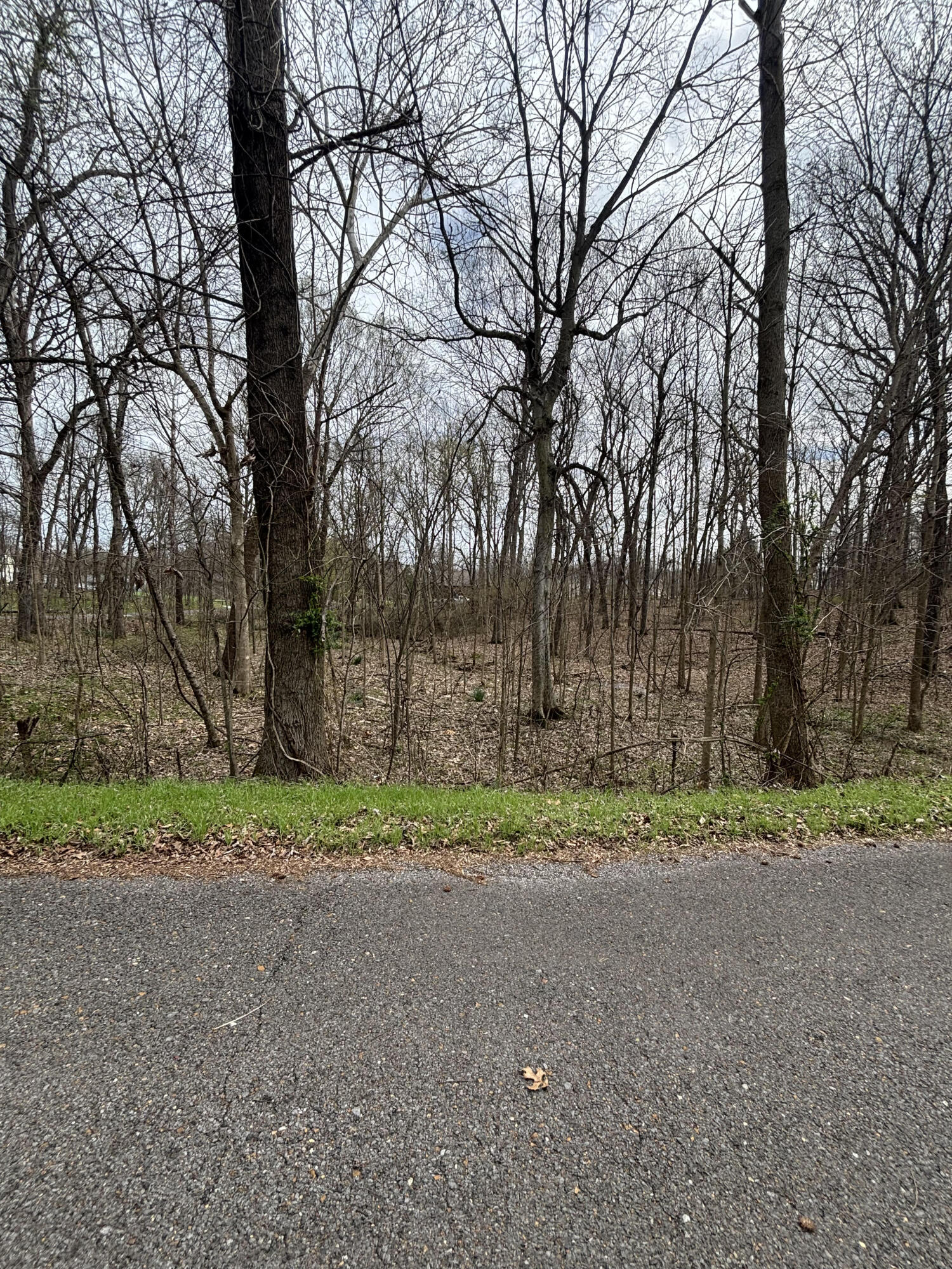Lot 23 Norman Lane Property Photo 7