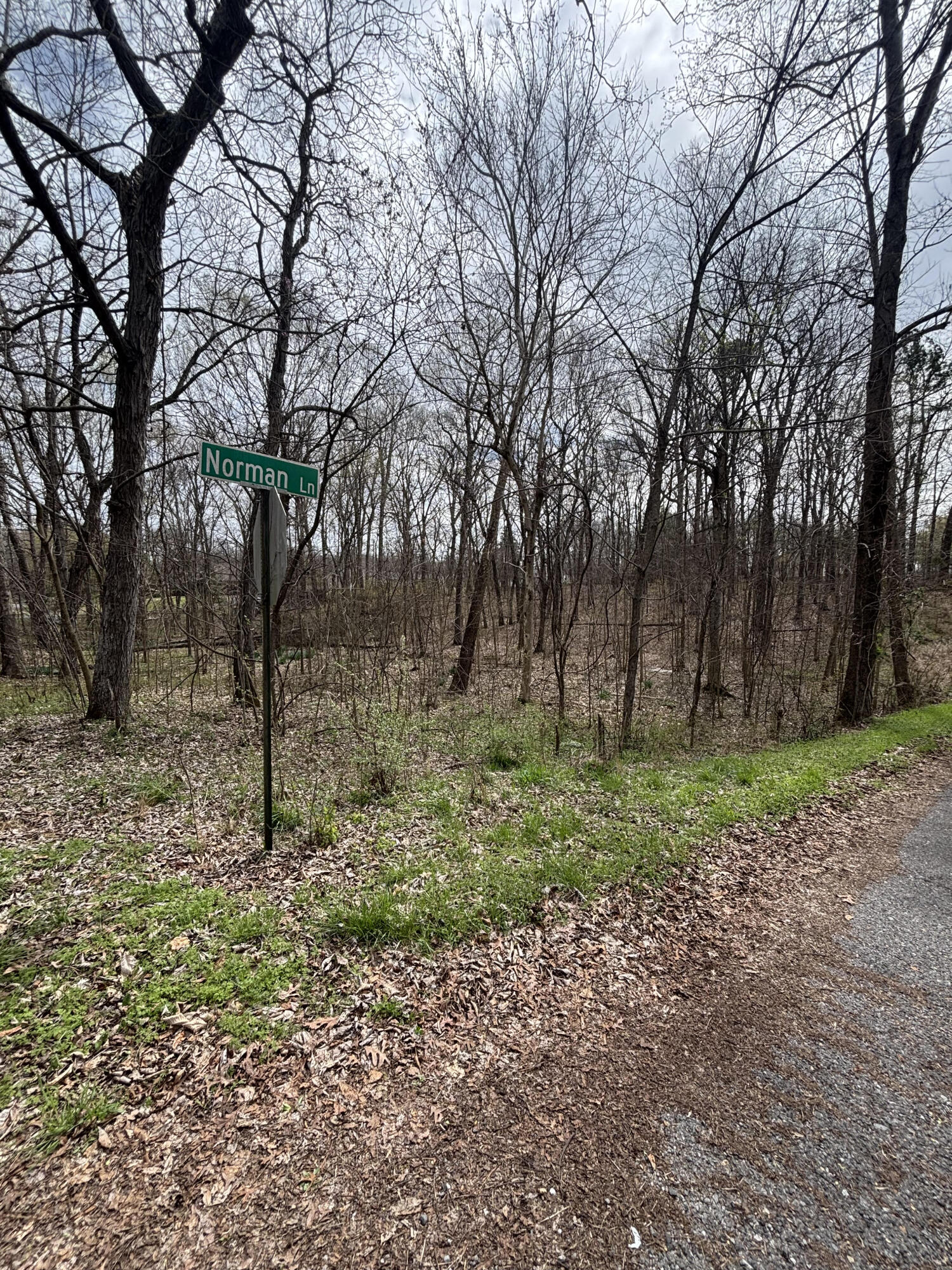 Lot 23 Norman Lane Property Photo 9