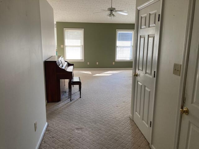 133 Hawthorne Drive Property Photo 3