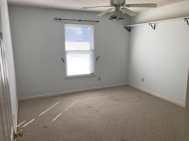 133 Hawthorne Drive Property Photo 6