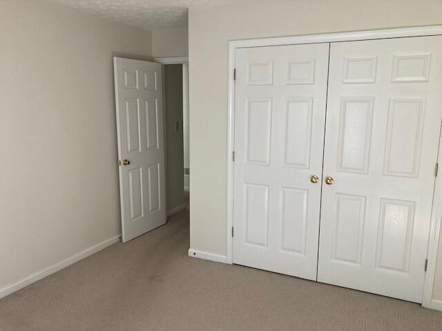 133 Hawthorne Drive Property Photo 19