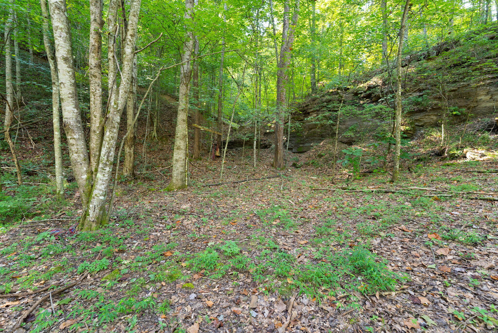3649 State Hwy 233 Property Photo 61