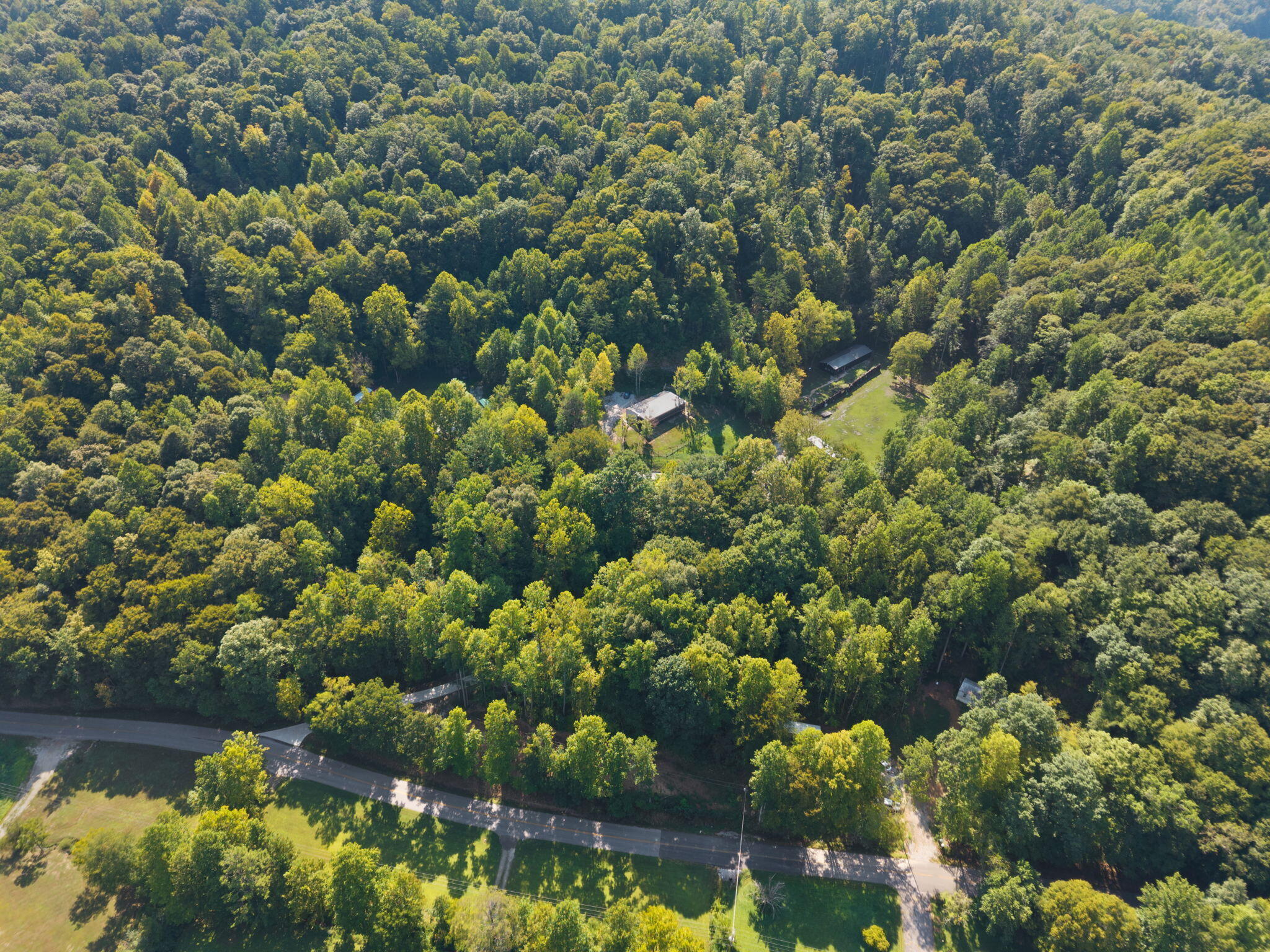 3649 State Hwy 233 Property Photo 90