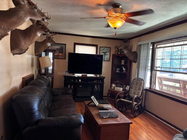 1018 Melody Lane Property Photo 4