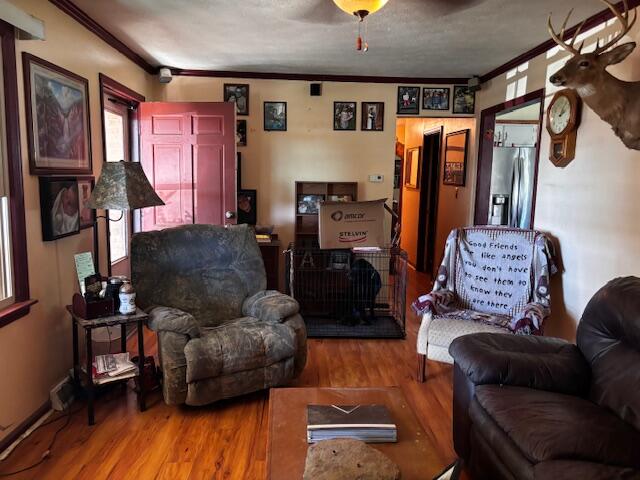 1018 Melody Lane Property Photo 14