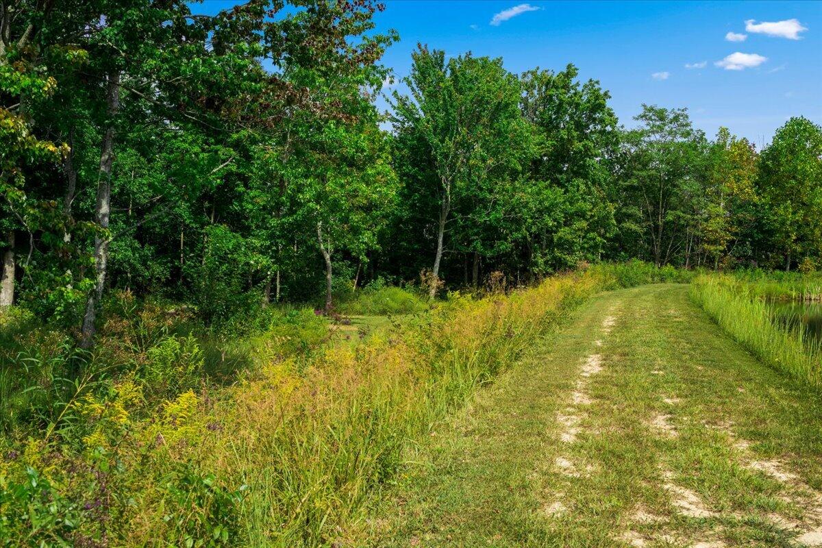 9653 Mckee Road Property Photo 51