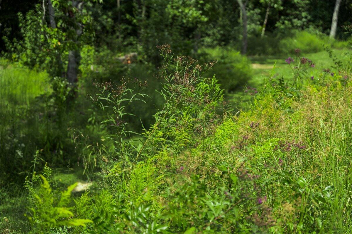 9653 Mckee Road Property Photo 52