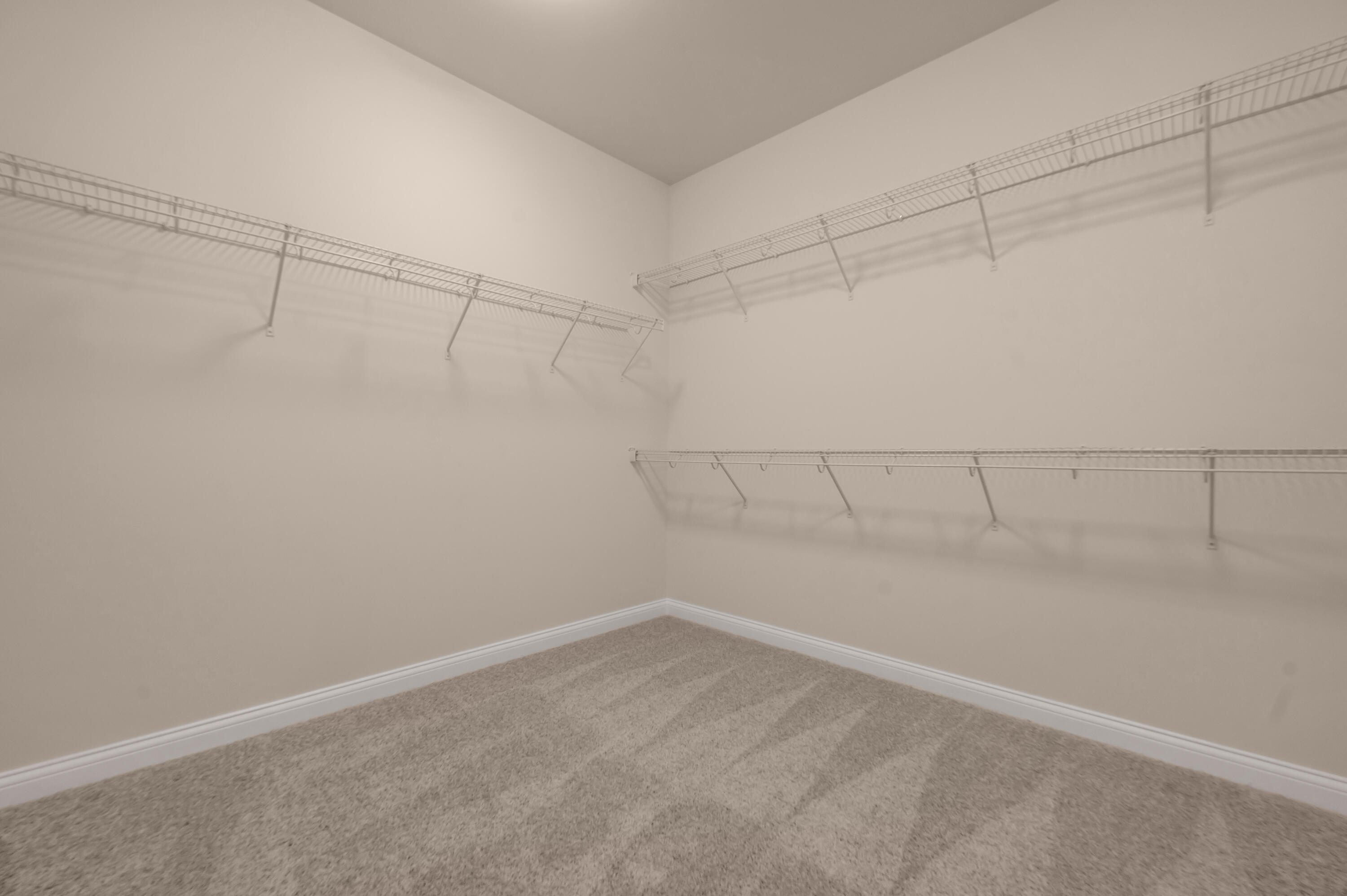 2784 Kearney Creek Lane Property Photo 41