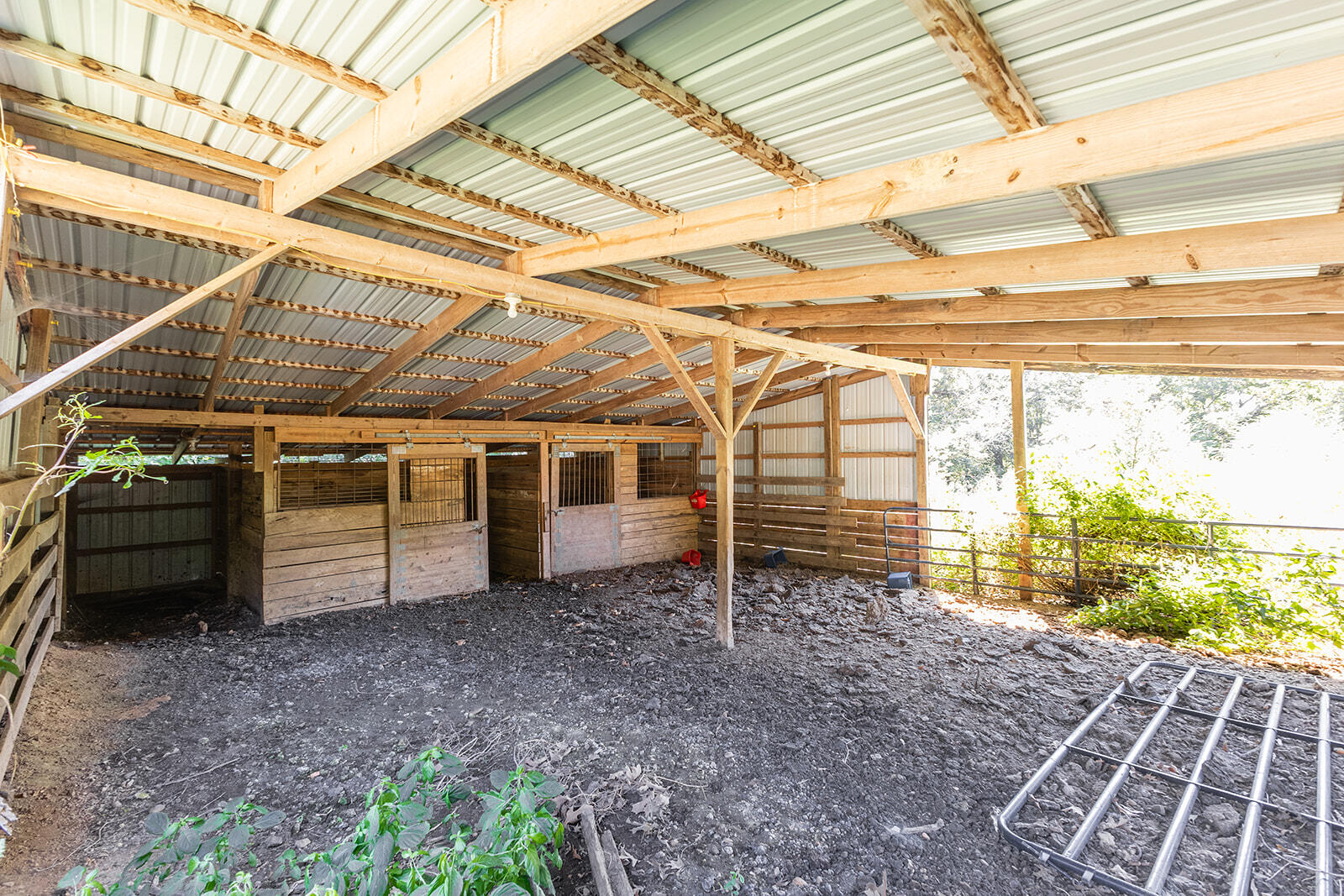 3100 Old Dukedom Road Property Photo 51