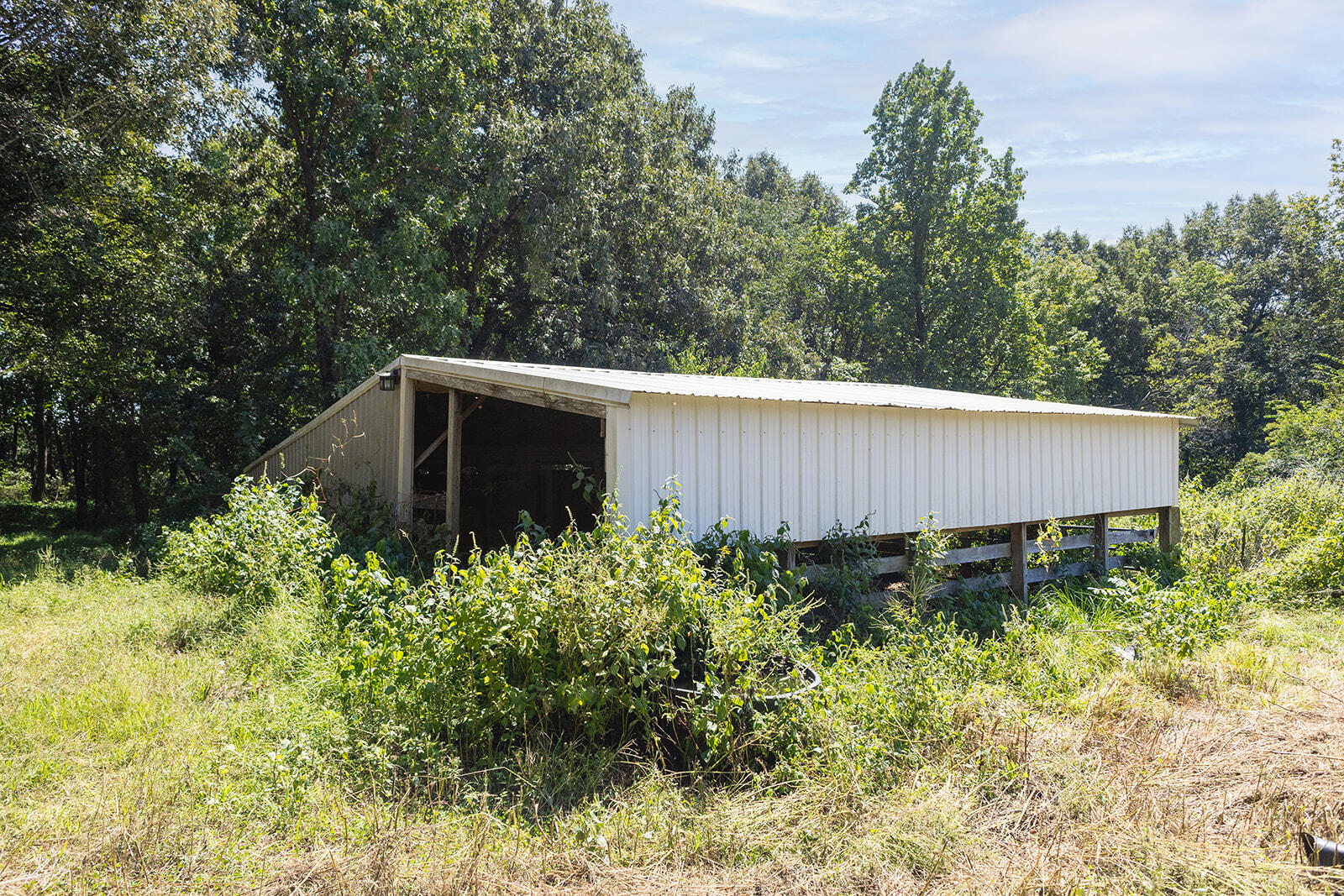 3100 Old Dukedom Road Property Photo 53