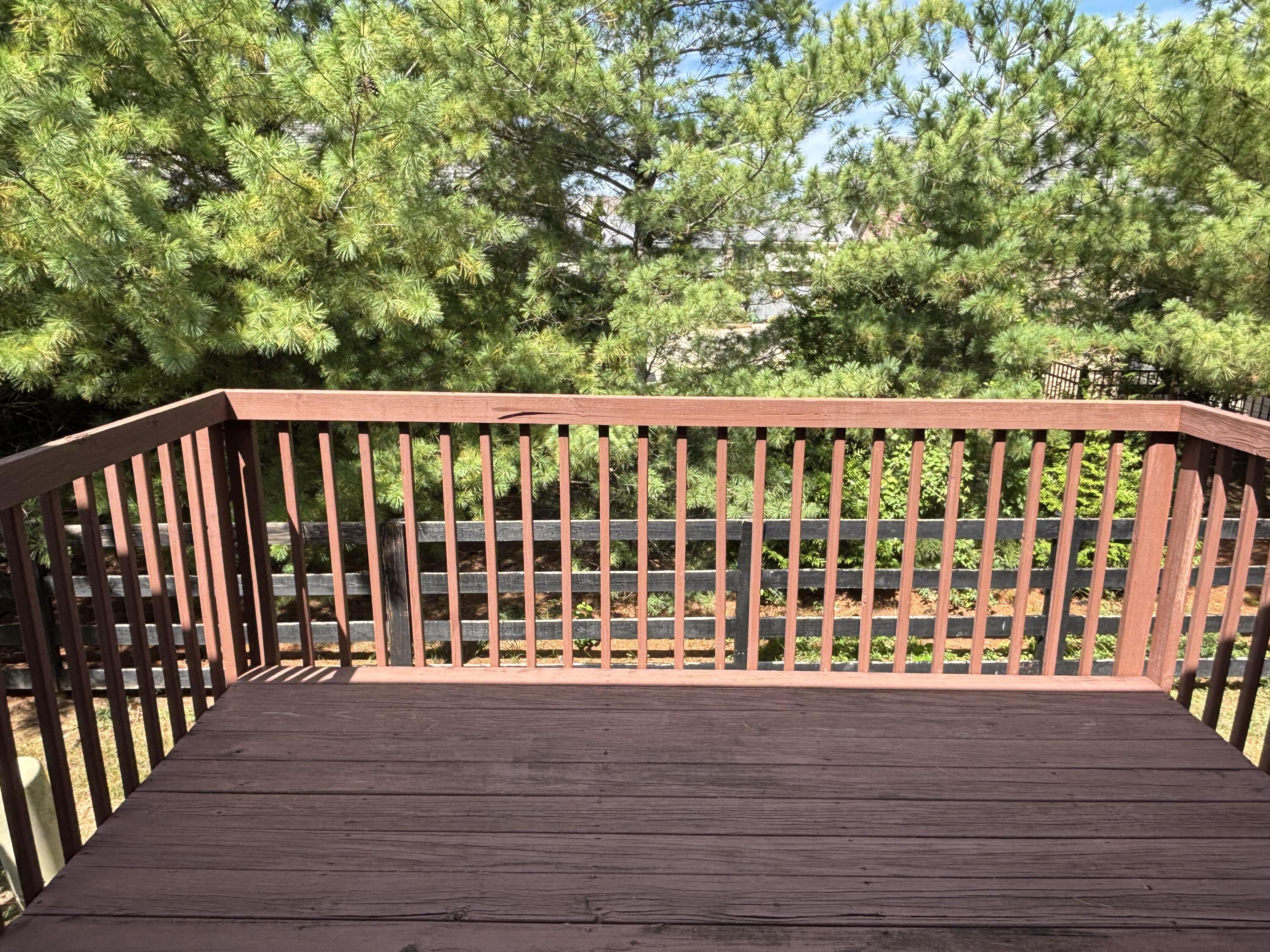 3539 Lochdale Terrace Property Photo 11
