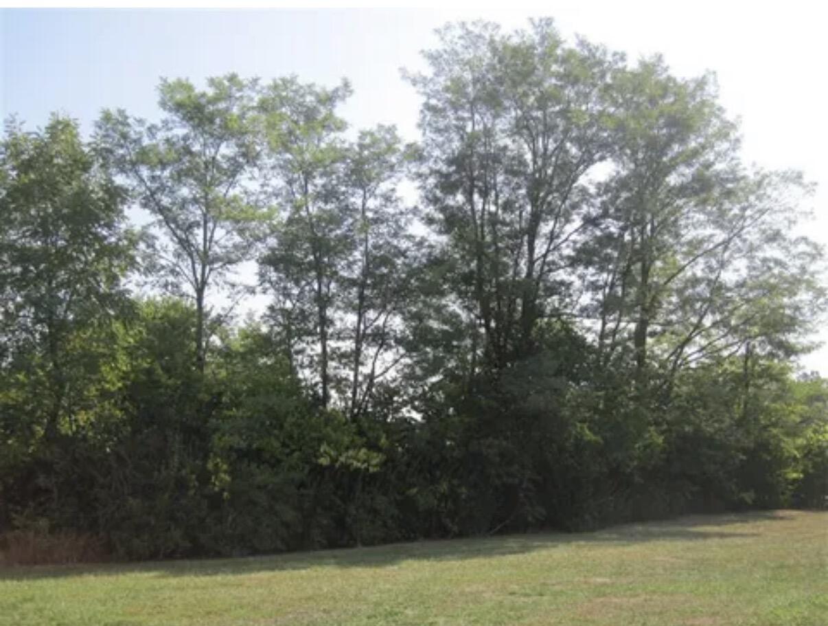 190 Hubble Road Property Photo 14