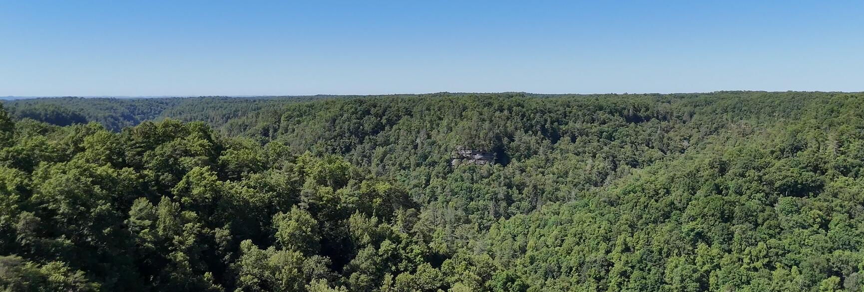 975 Wildcat Ridge Lane Property Photo 4