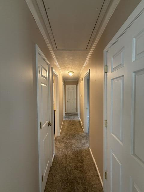3924 Gladman Way Property Photo 10