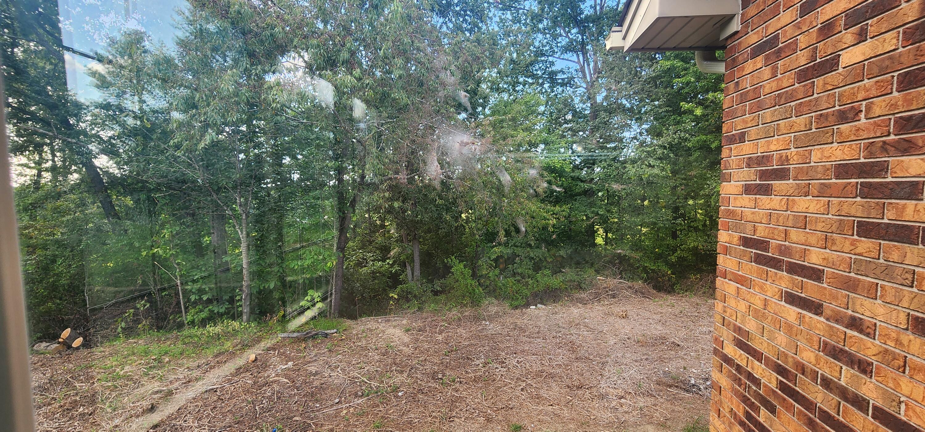 205 Oneal Road Property Photo 25