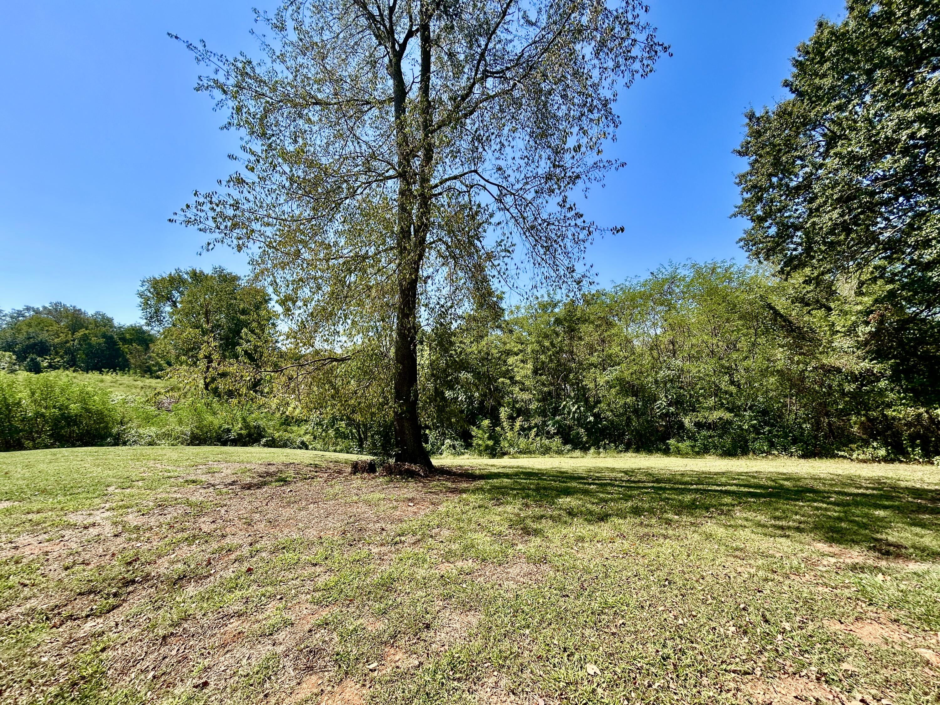 63 Iris Point Property Photo 39