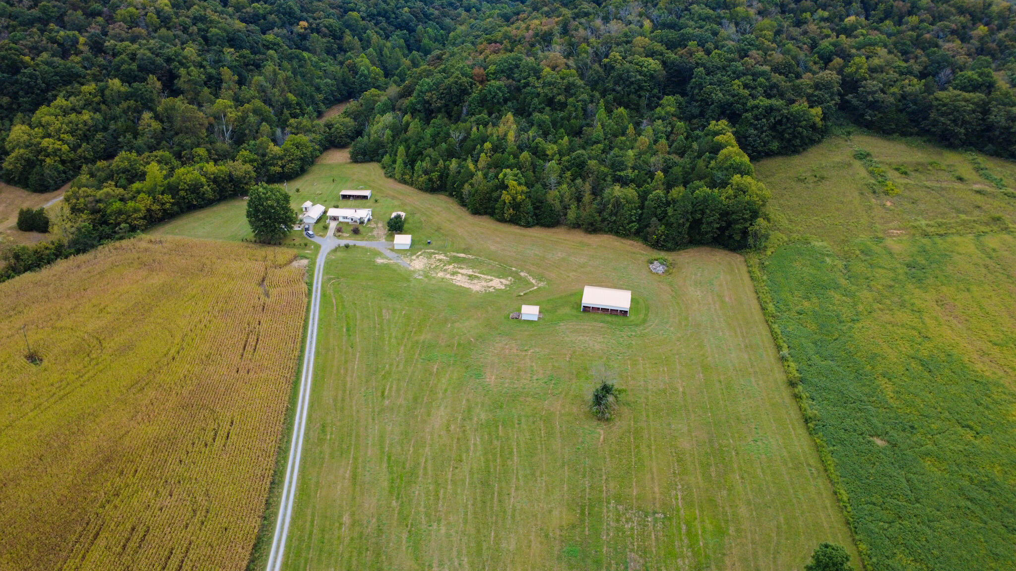 220 F Johnson Road Property Photo 54