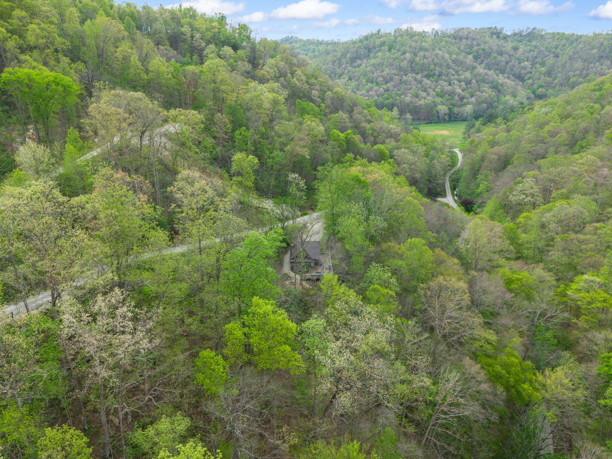 175 Bootleg Ridge Property Photo 12