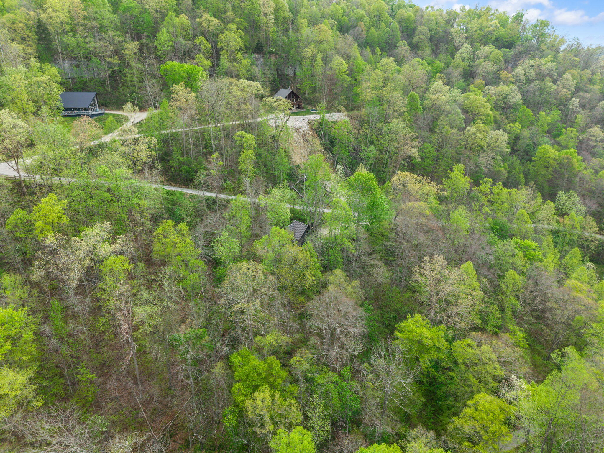 175 Bootleg Ridge Property Photo 13