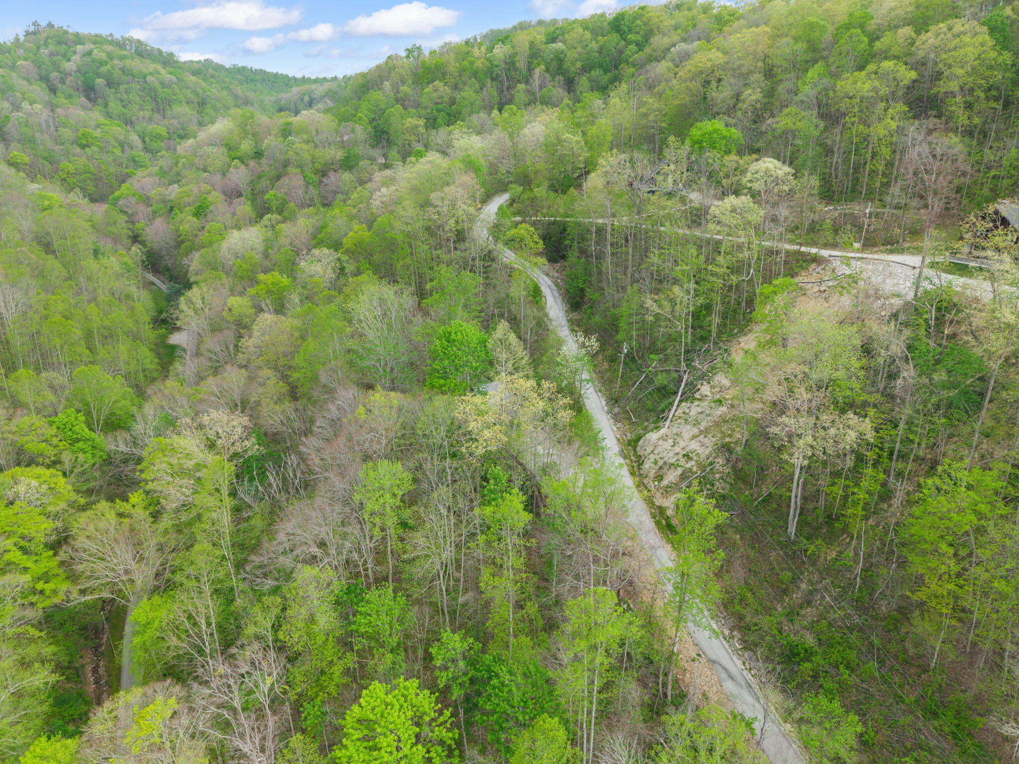 175 Bootleg Ridge Property Photo 14