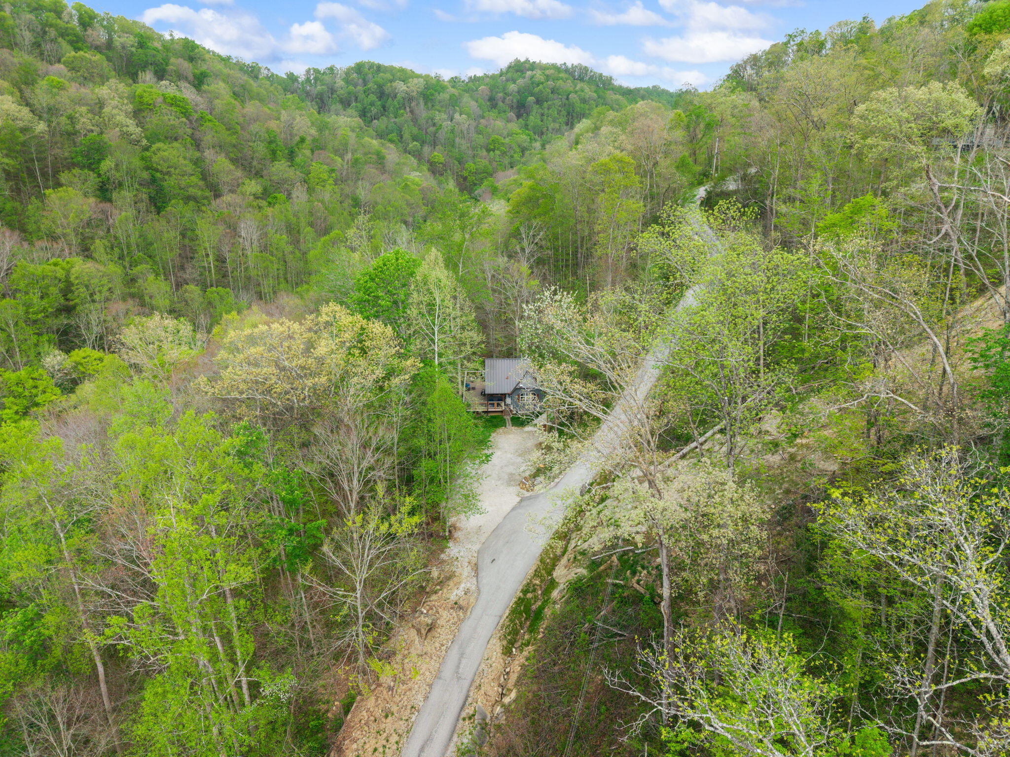 175 Bootleg Ridge Property Photo 15