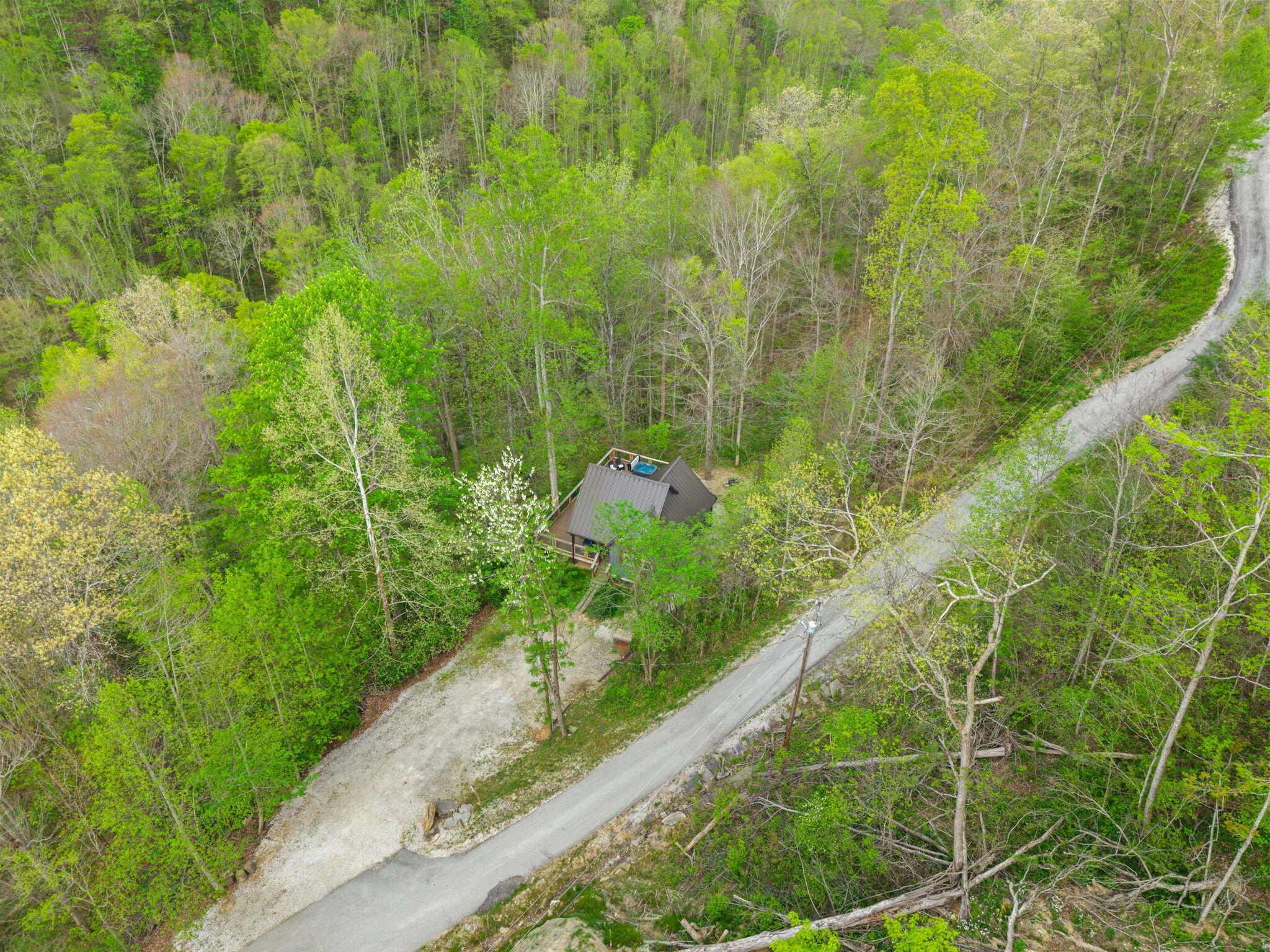 175 Bootleg Ridge Property Photo 16