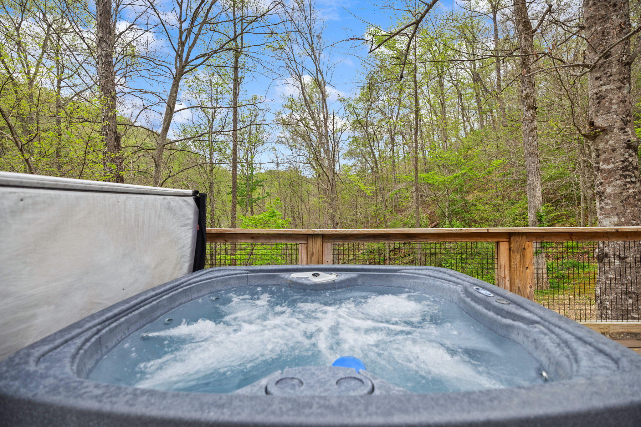 175 Bootleg Ridge Property Photo 28