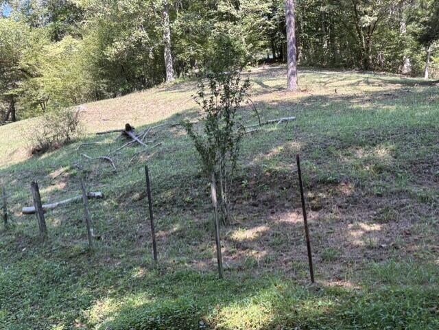 396 Spaulding Branch Road Property Photo 12